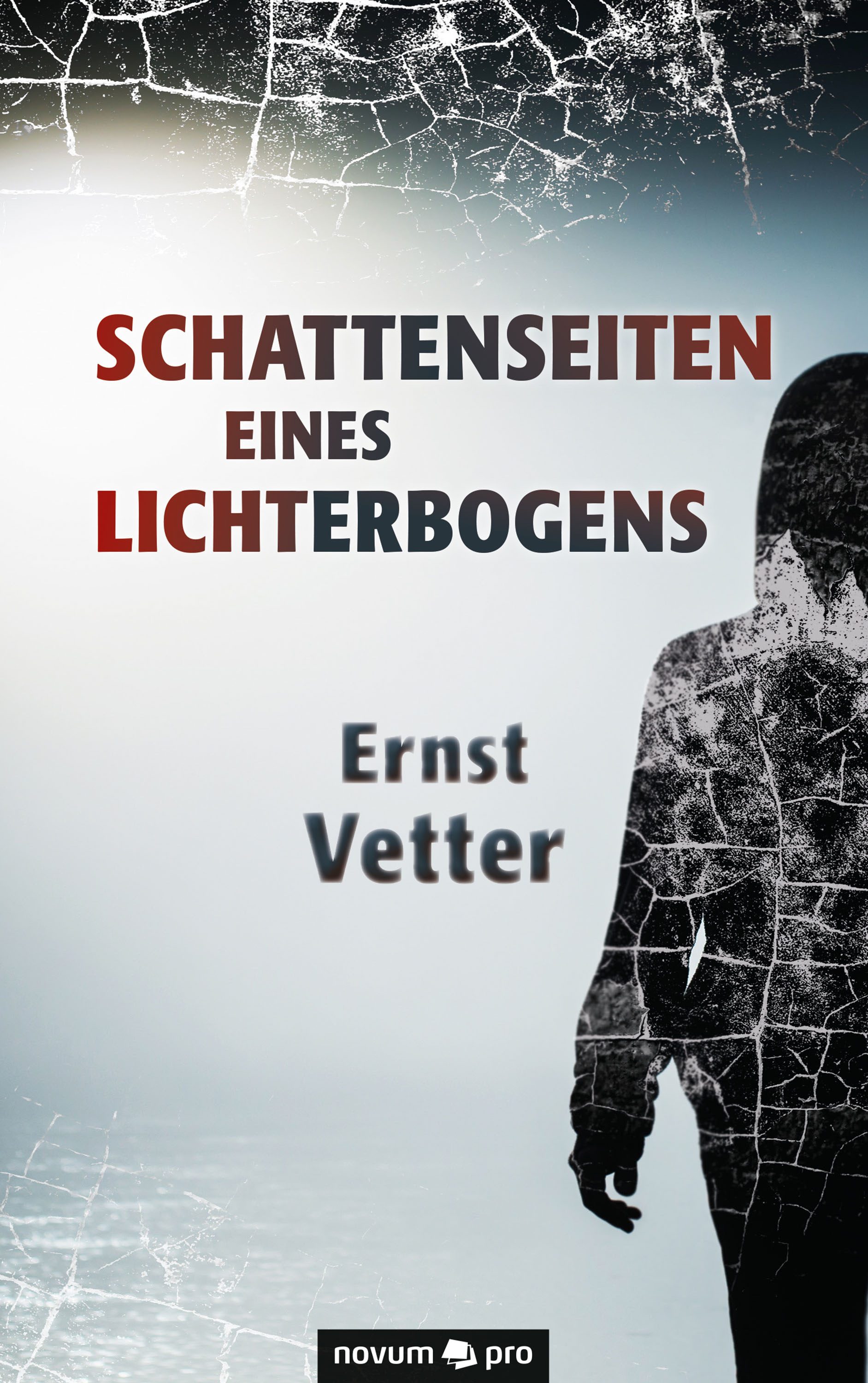 Обложка книги «Schattenseiten eines Lichterbogens»