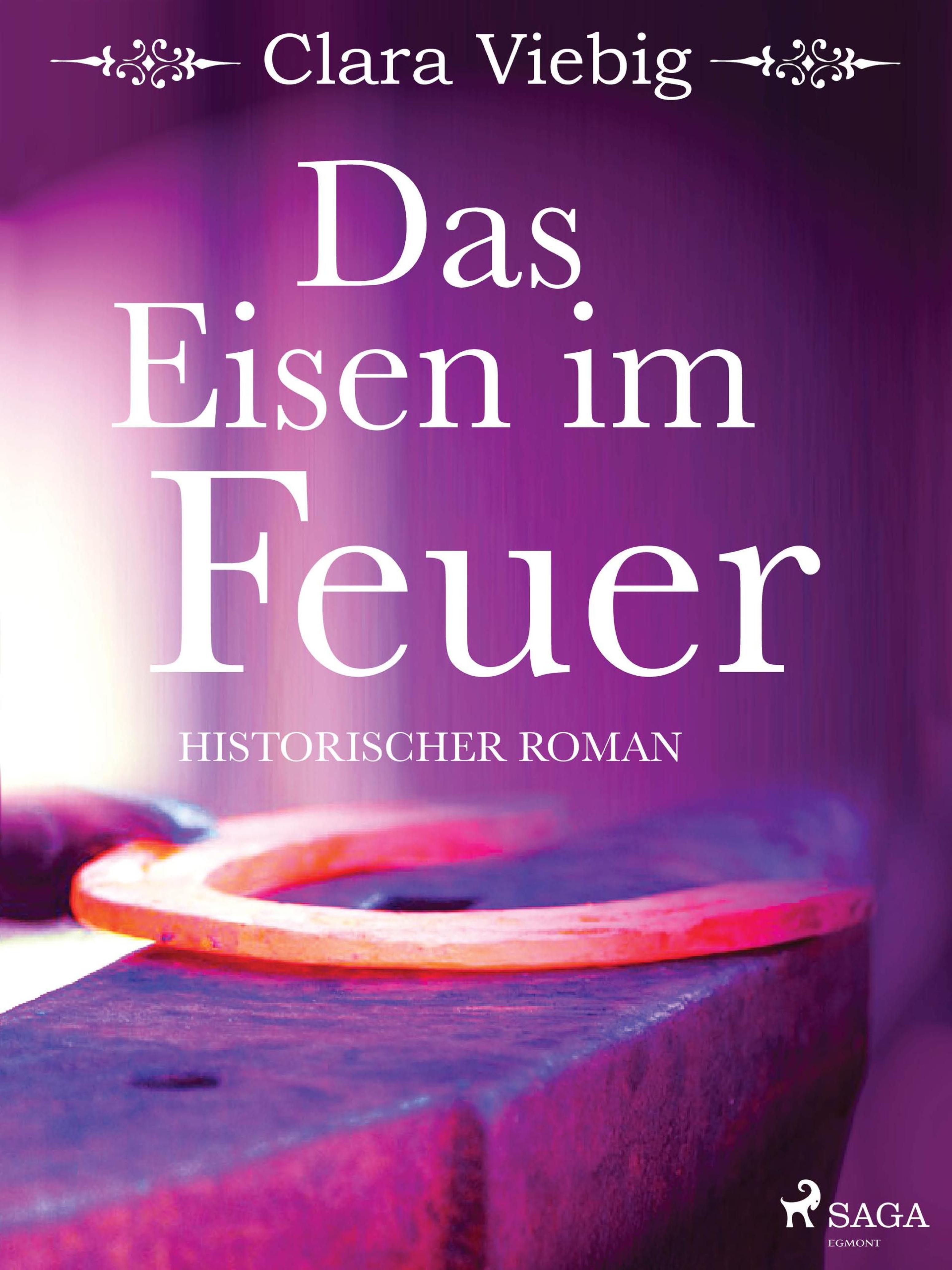 Обложка книги «Das Eisen im Feuer»