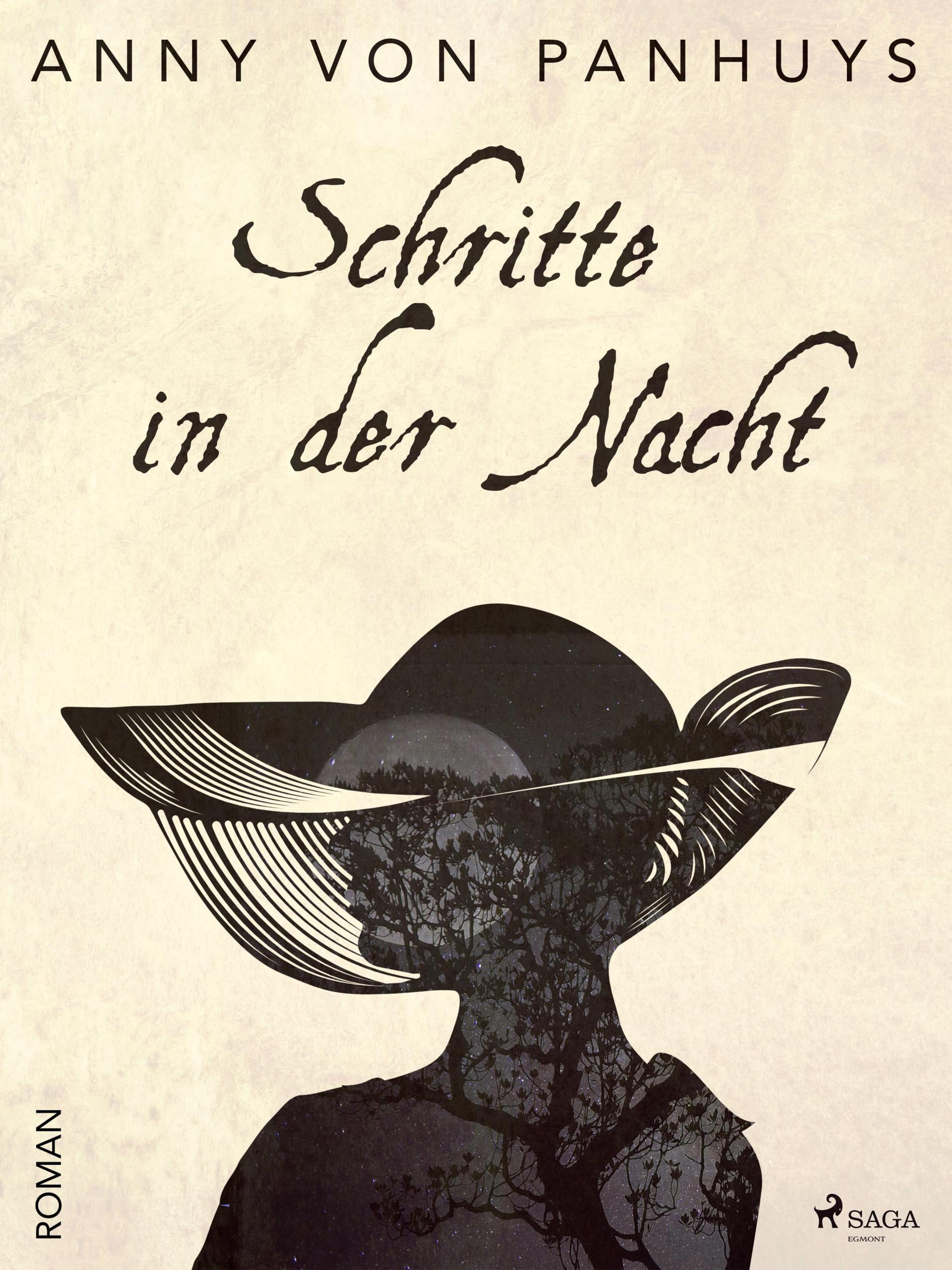 Обложка книги «Schritte in der Nacht»