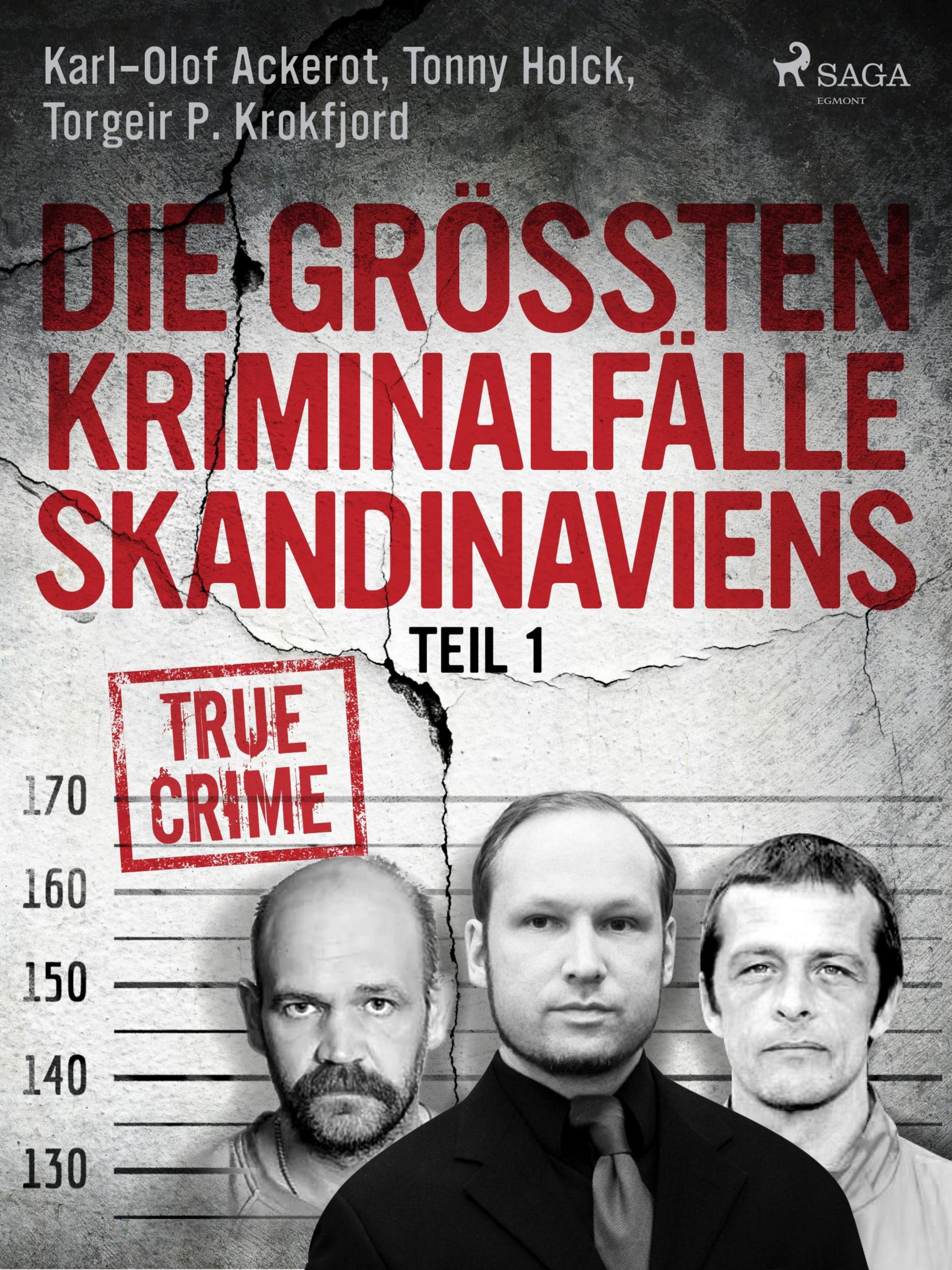 Обложка книги «Die größten Kriminalfälle Skandinaviens - Teil 1»