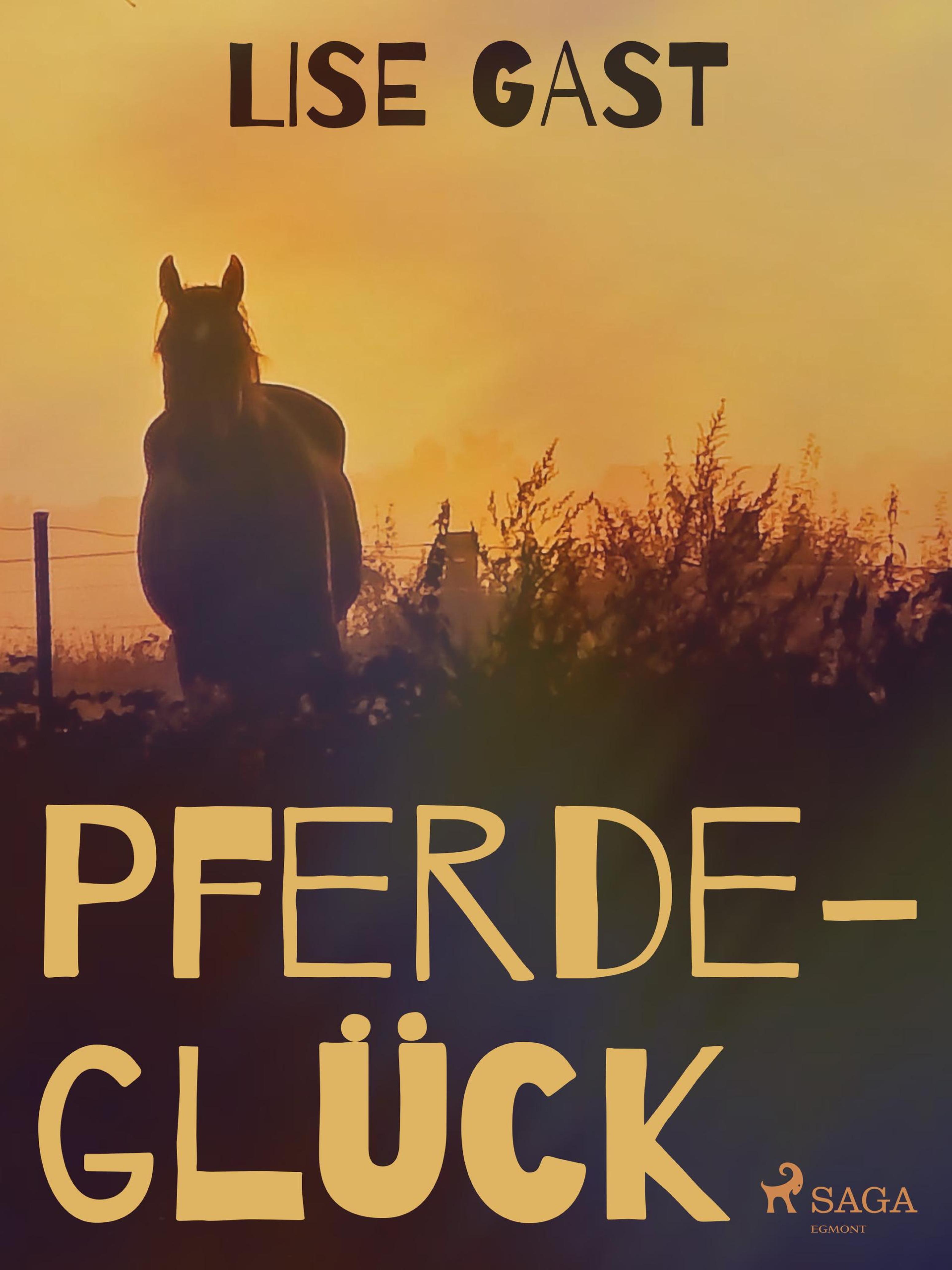 Обложка книги «Pferdeglück»