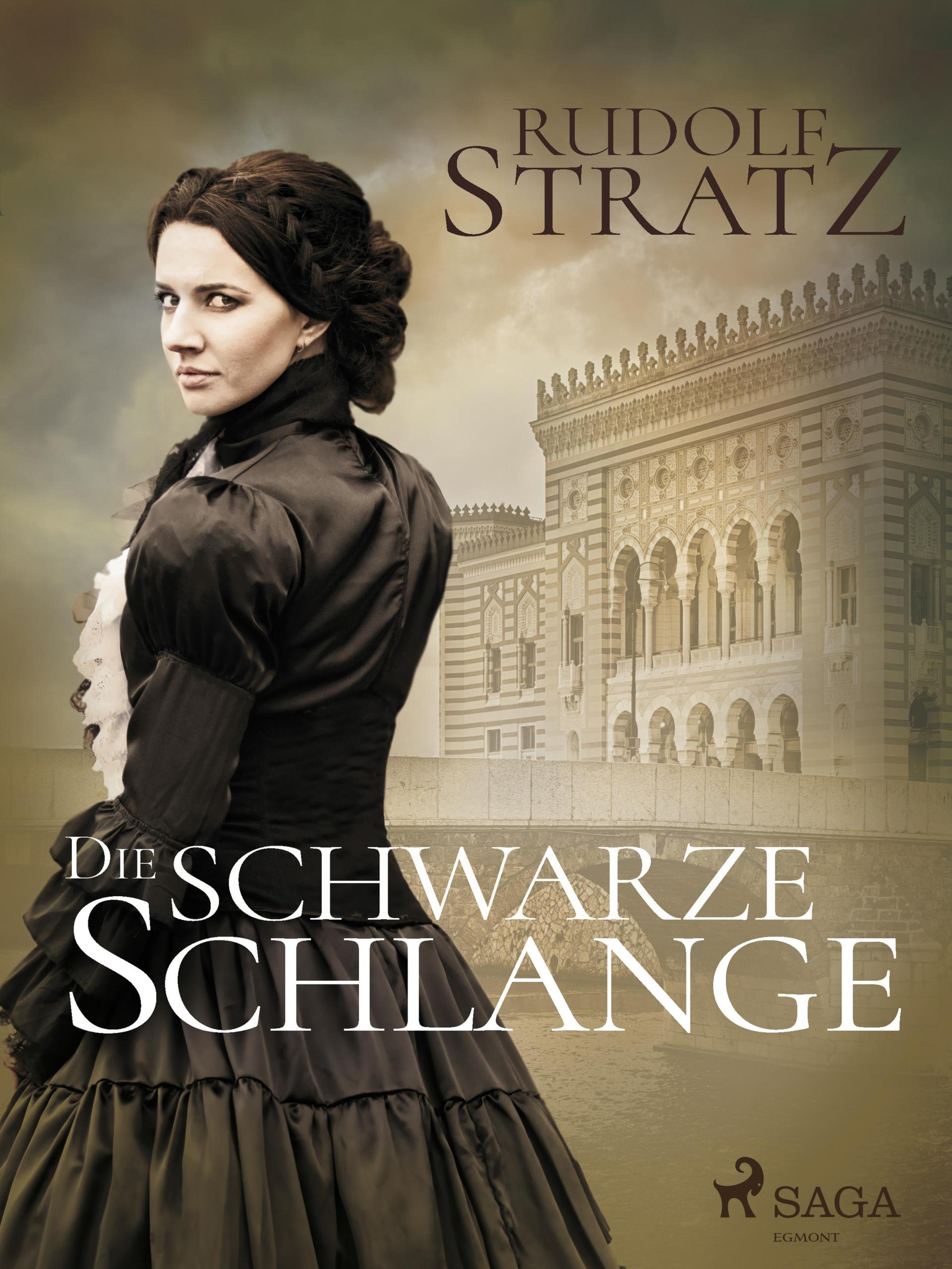 Обложка книги «Die schwarze Schlange»