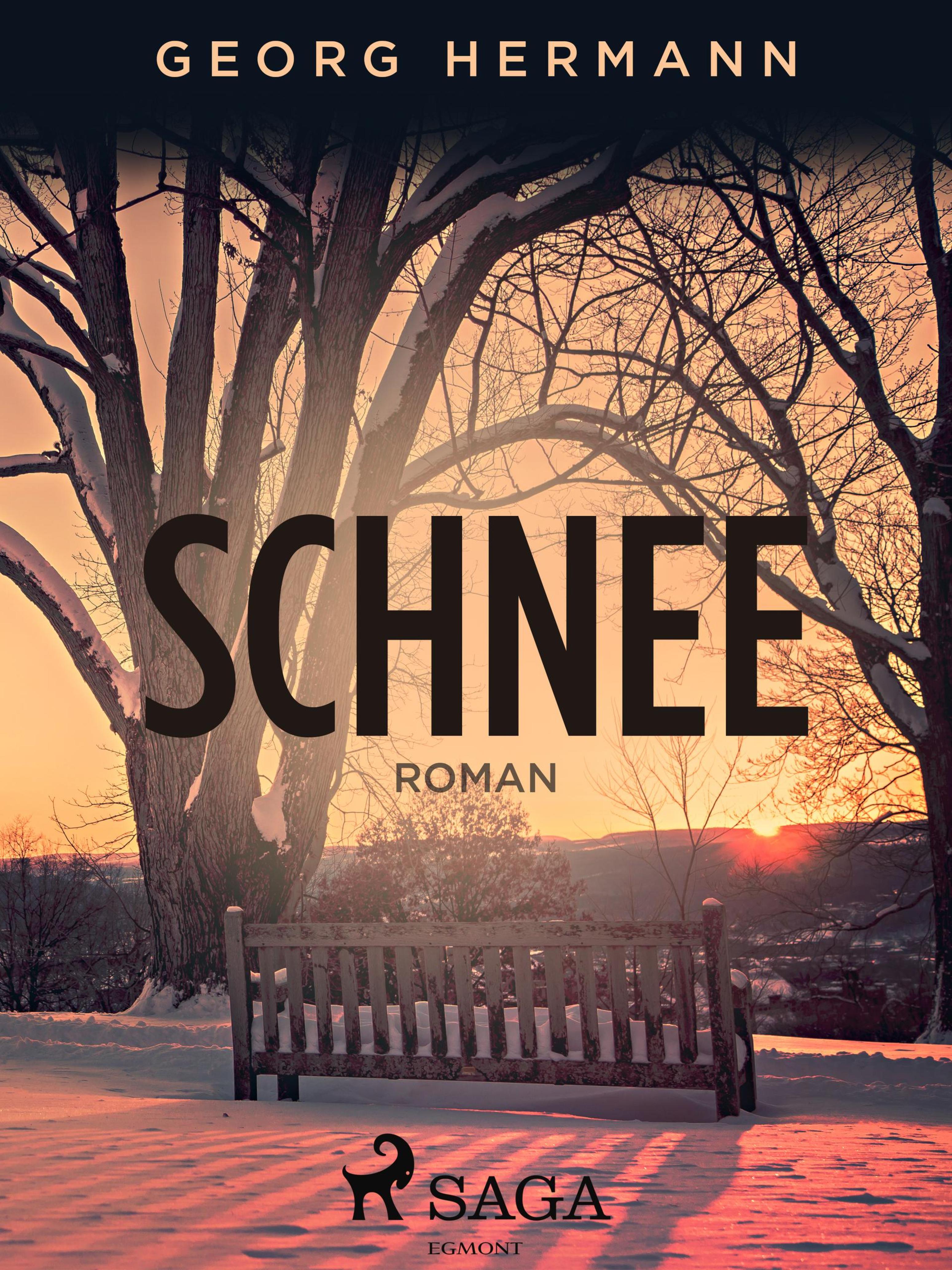 Обложка книги «Schnee»