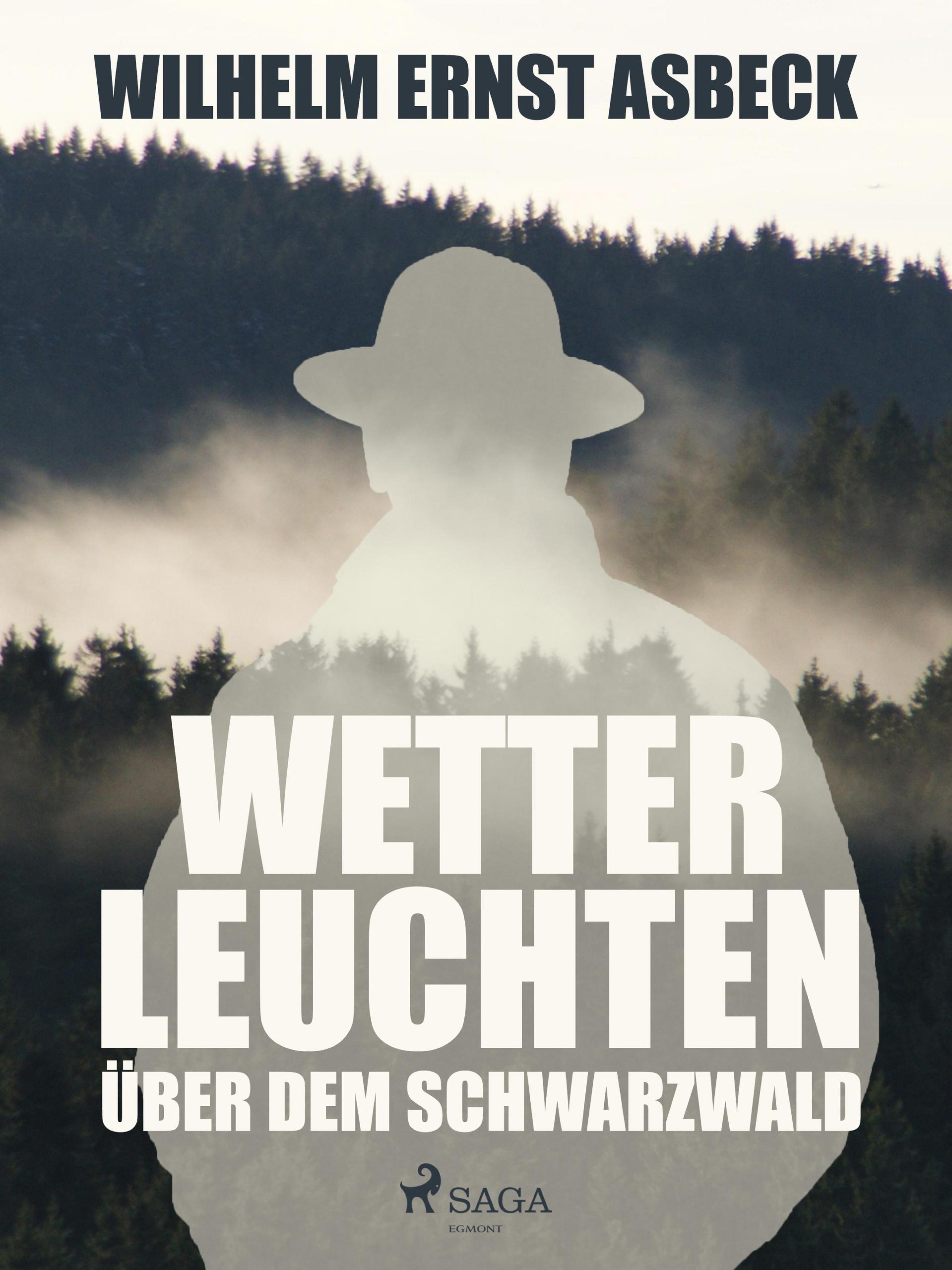 Обложка книги «Wetterleuchten über dem Schwarzwald»