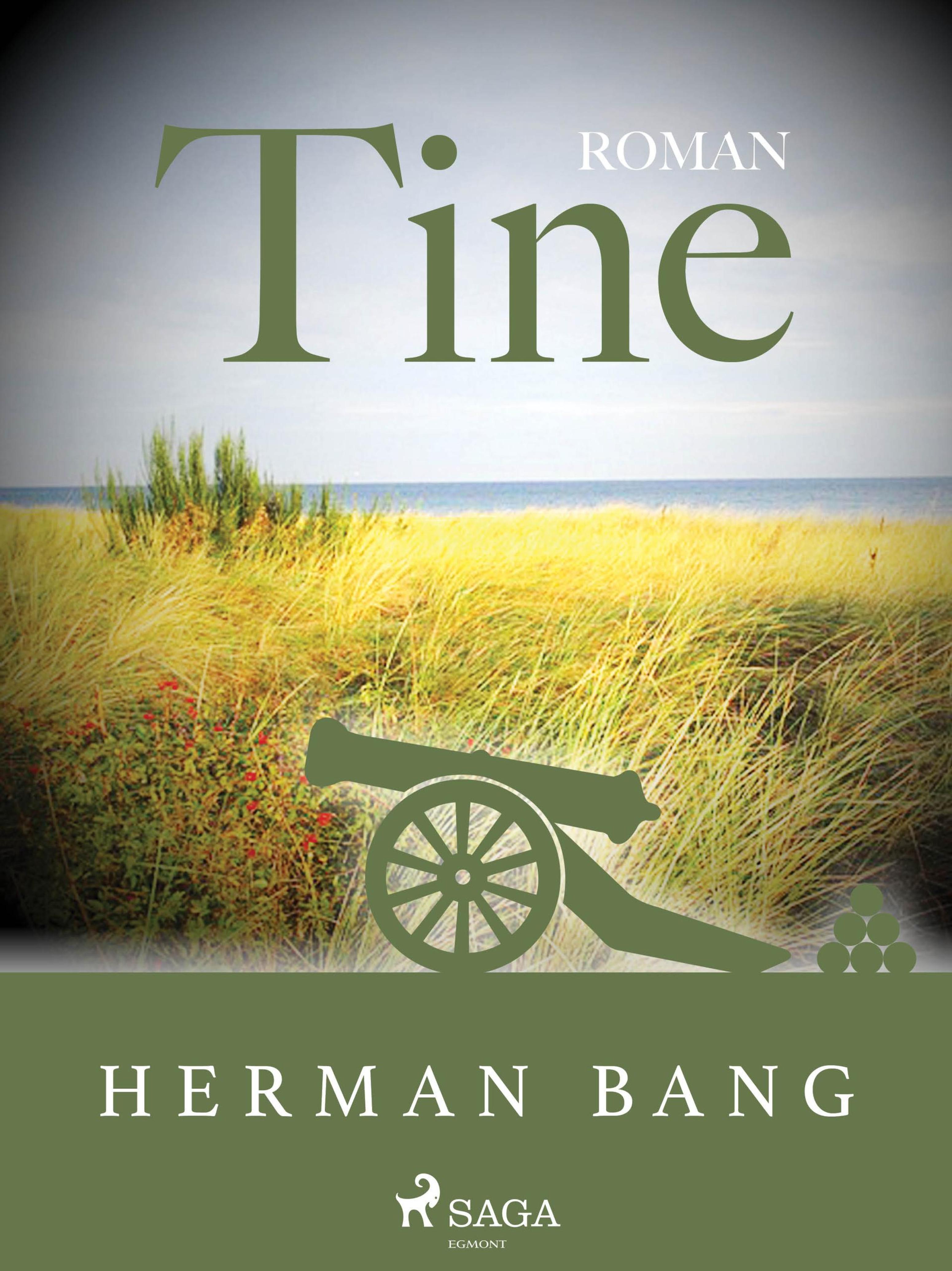 Обложка книги «Tine»