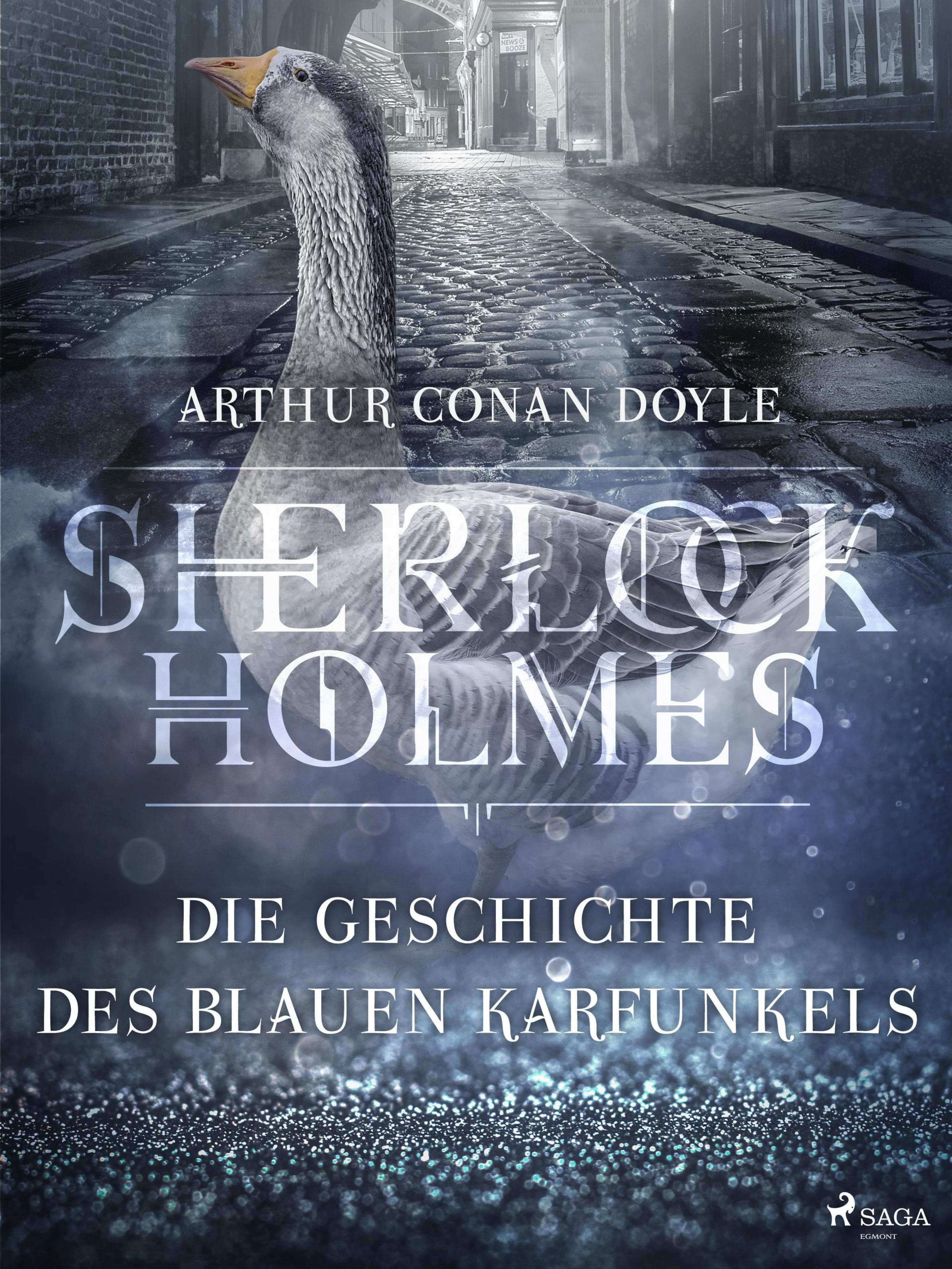 Обложка книги «Die Geschichte des blauen Karfunkels»