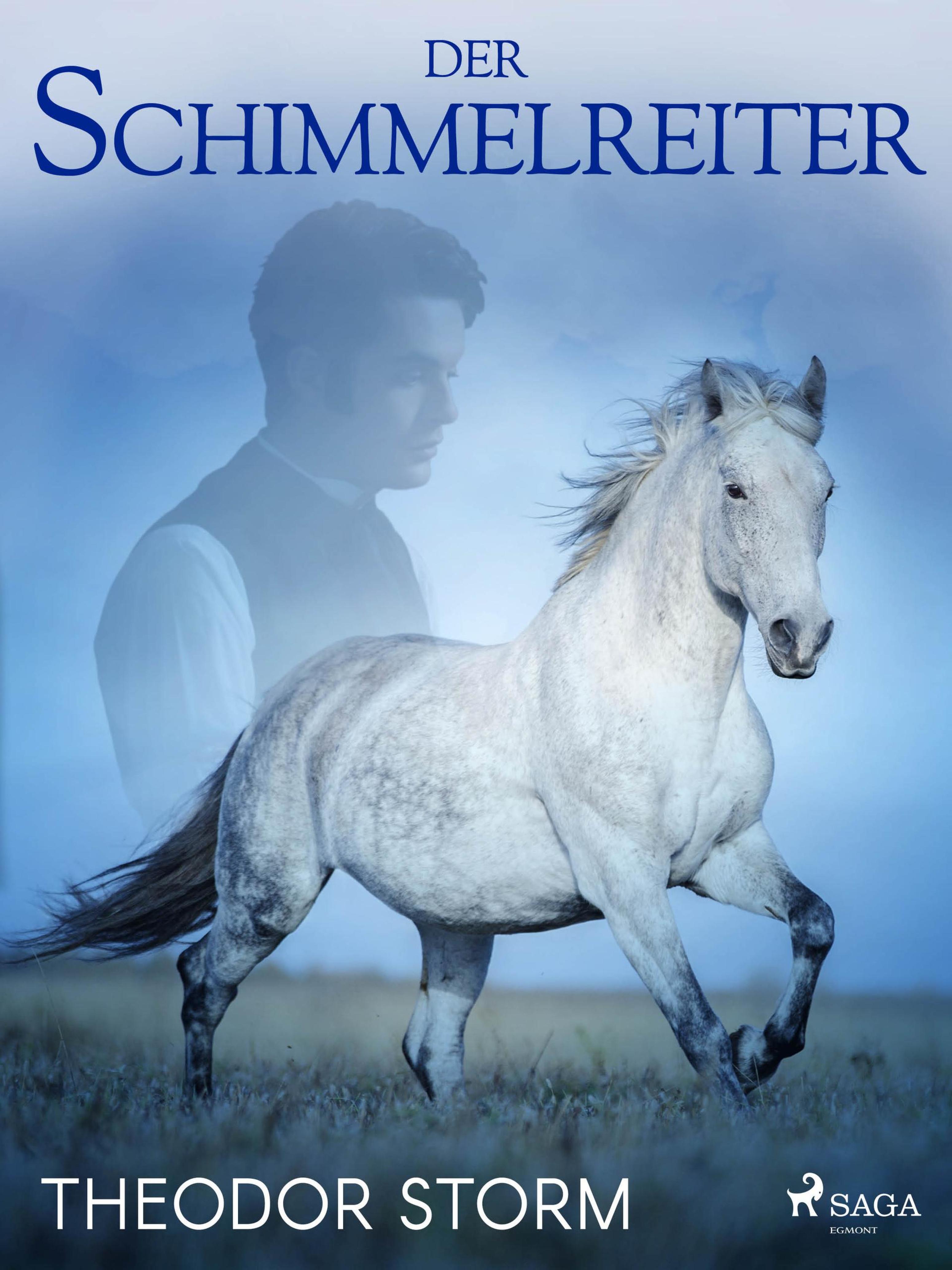 Обложка книги «Der Schimmelreiter»
