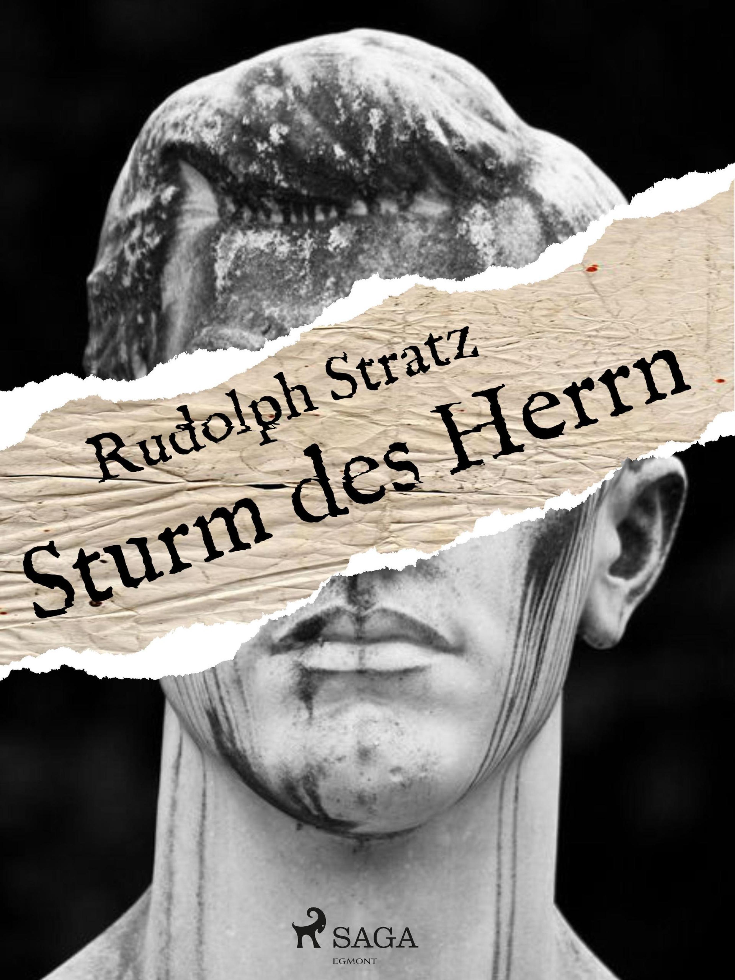 Обложка книги «Sturm des Herrn»