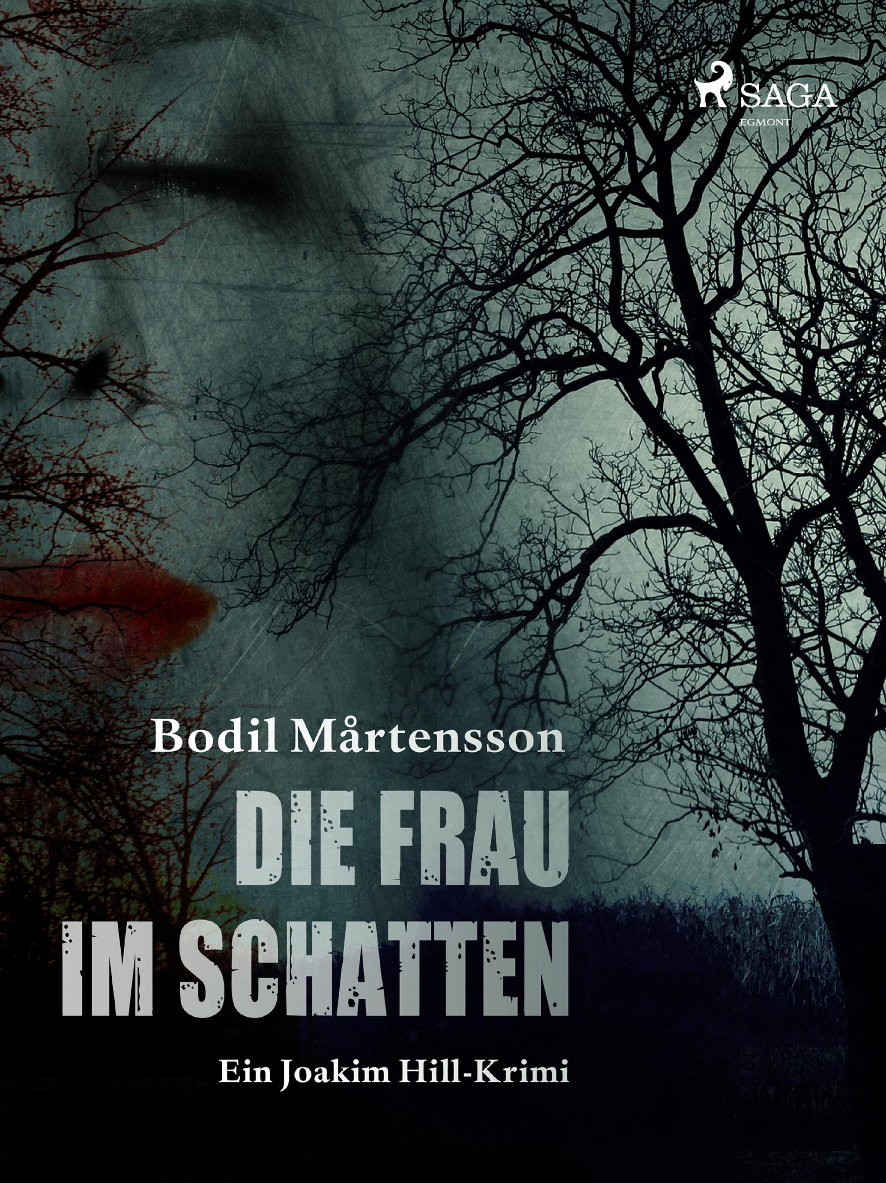 Обложка книги «Die Frau im Schatten»