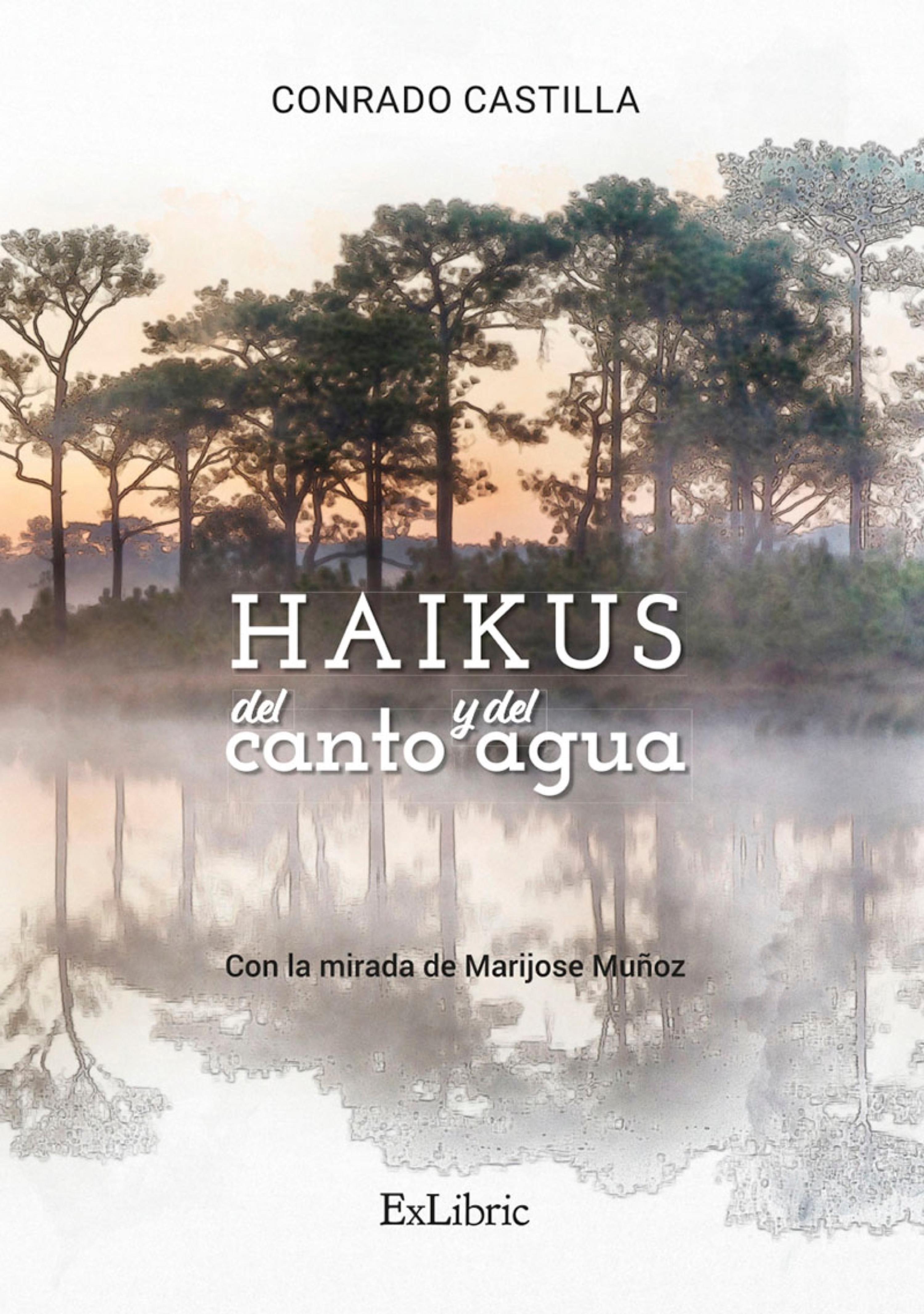 Обложка книги «Haikus del canto y del agua»