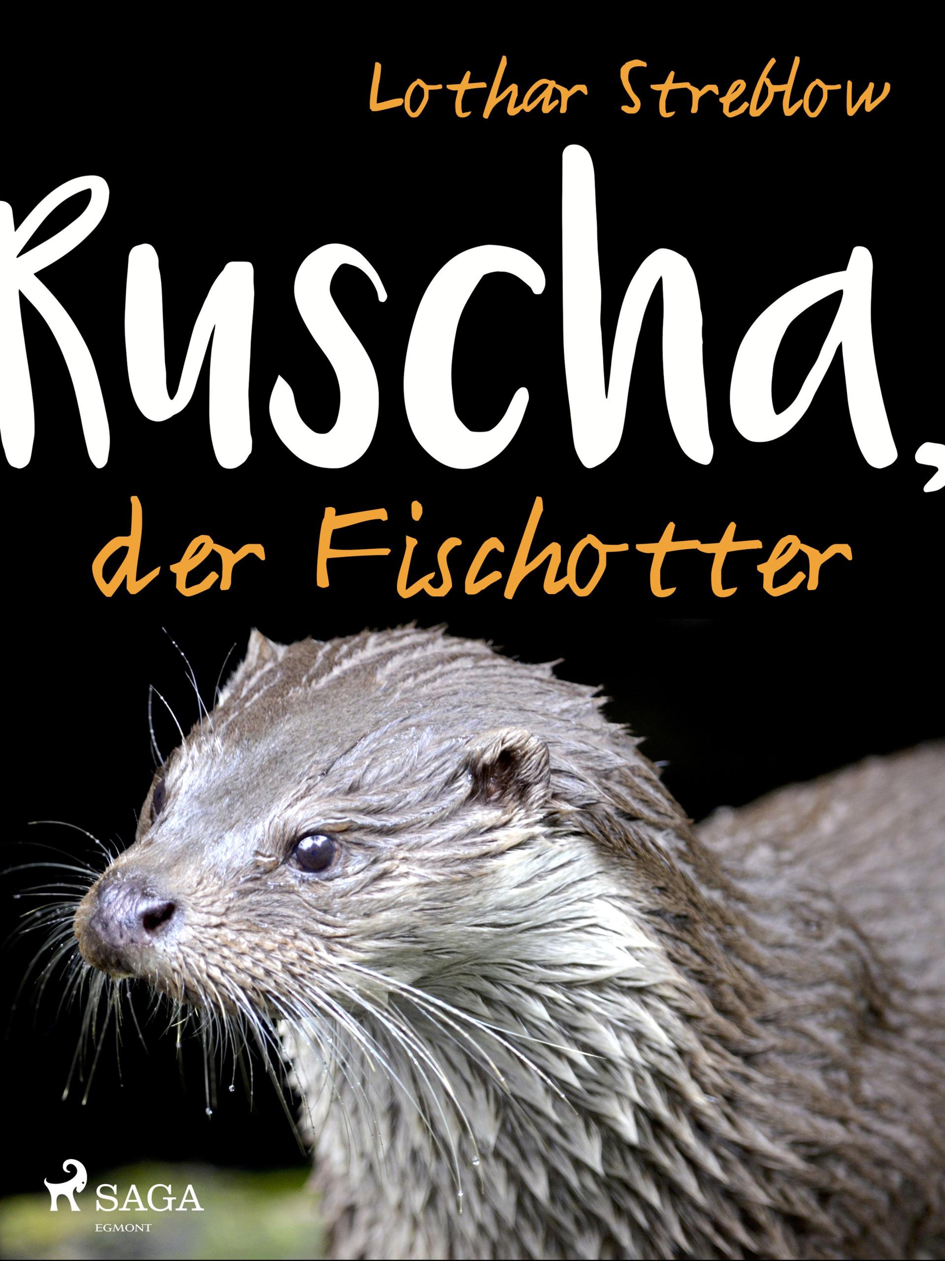 Обложка книги «Ruscha, der Fischotter»