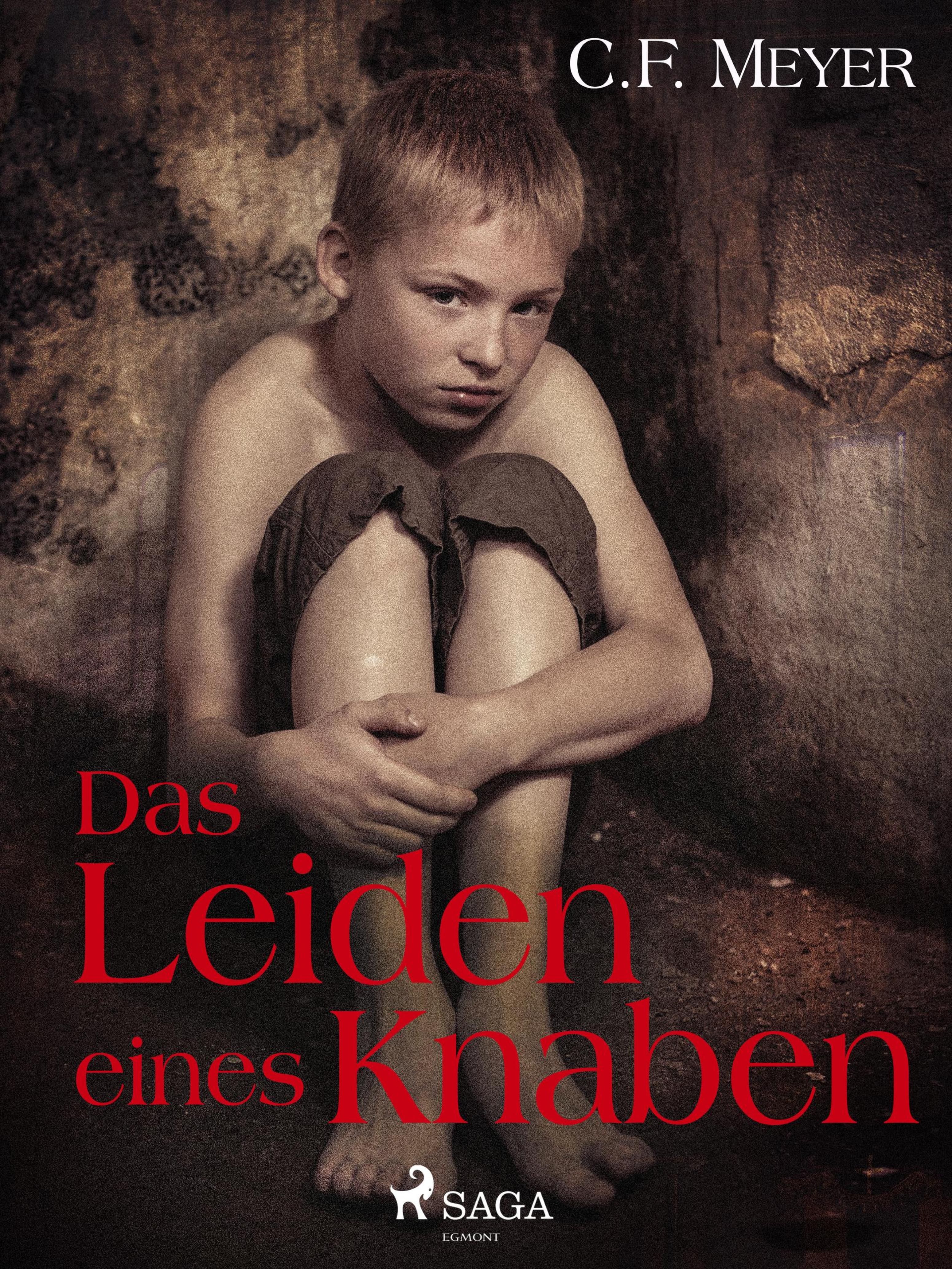 Обложка книги «Das Leiden eines Knaben»