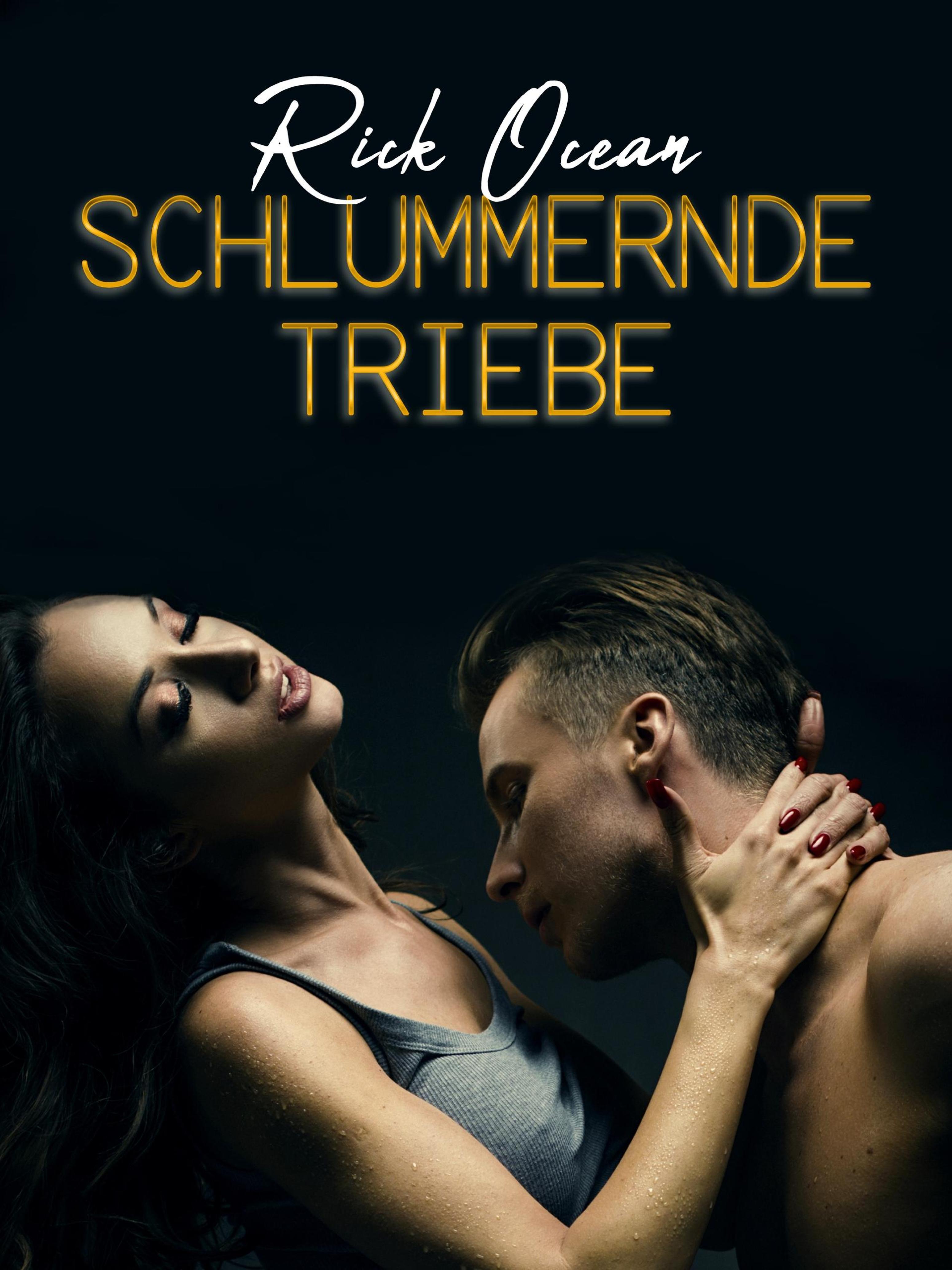Обложка книги «Schlummernde Triebe»