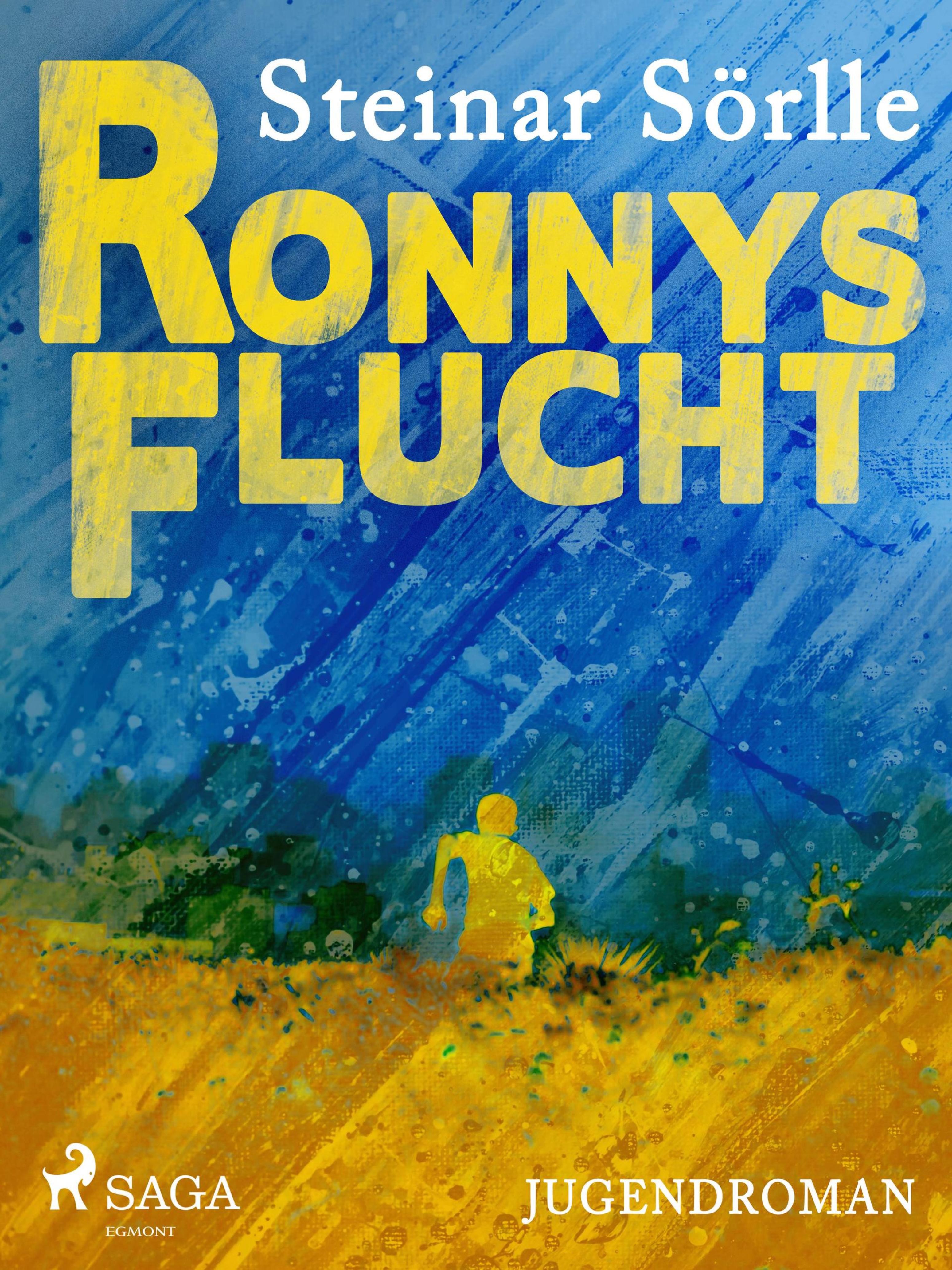 Обложка книги «Ronnys Flucht»