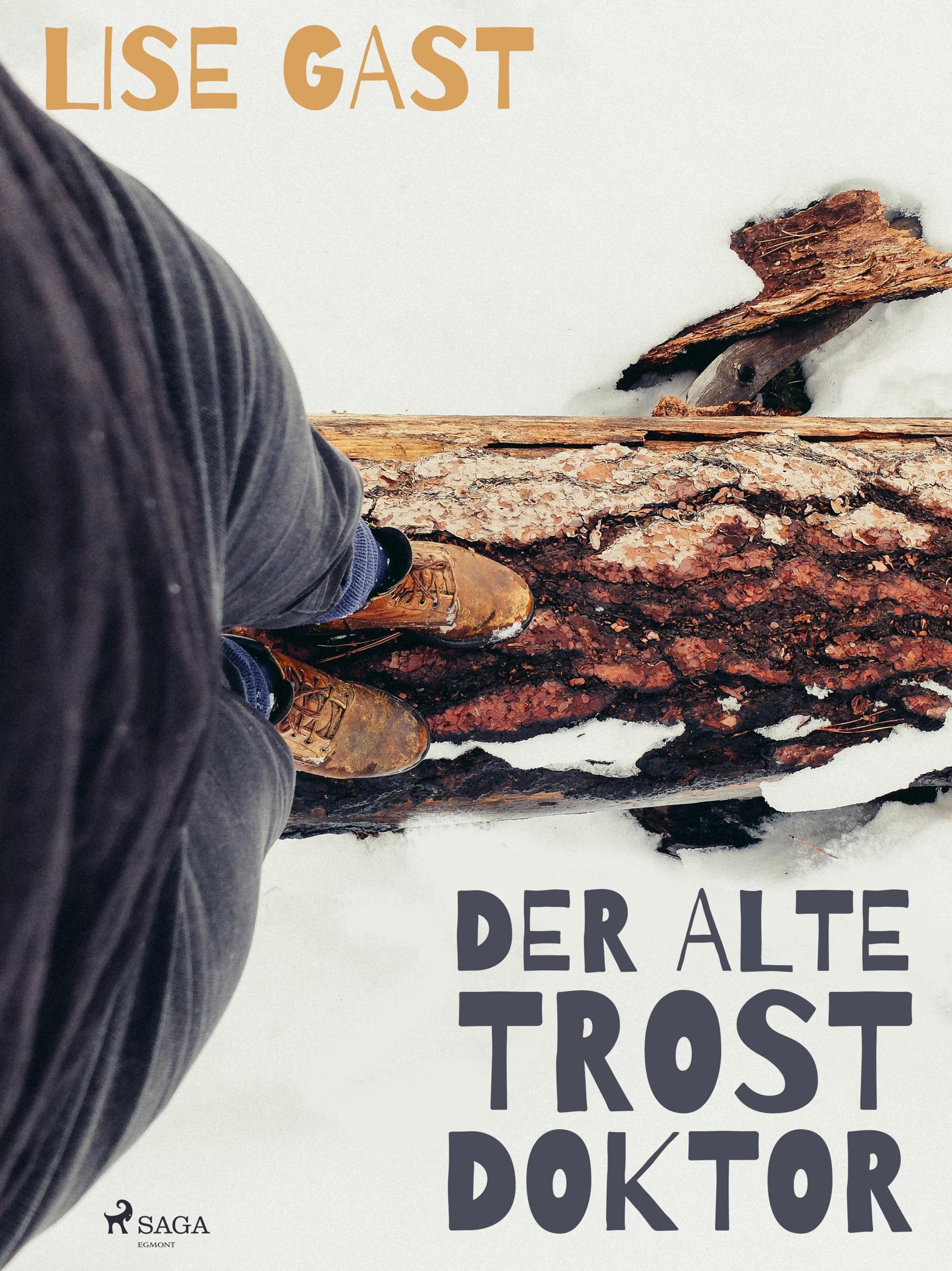 Обложка книги «Der alte Trostdoktor»