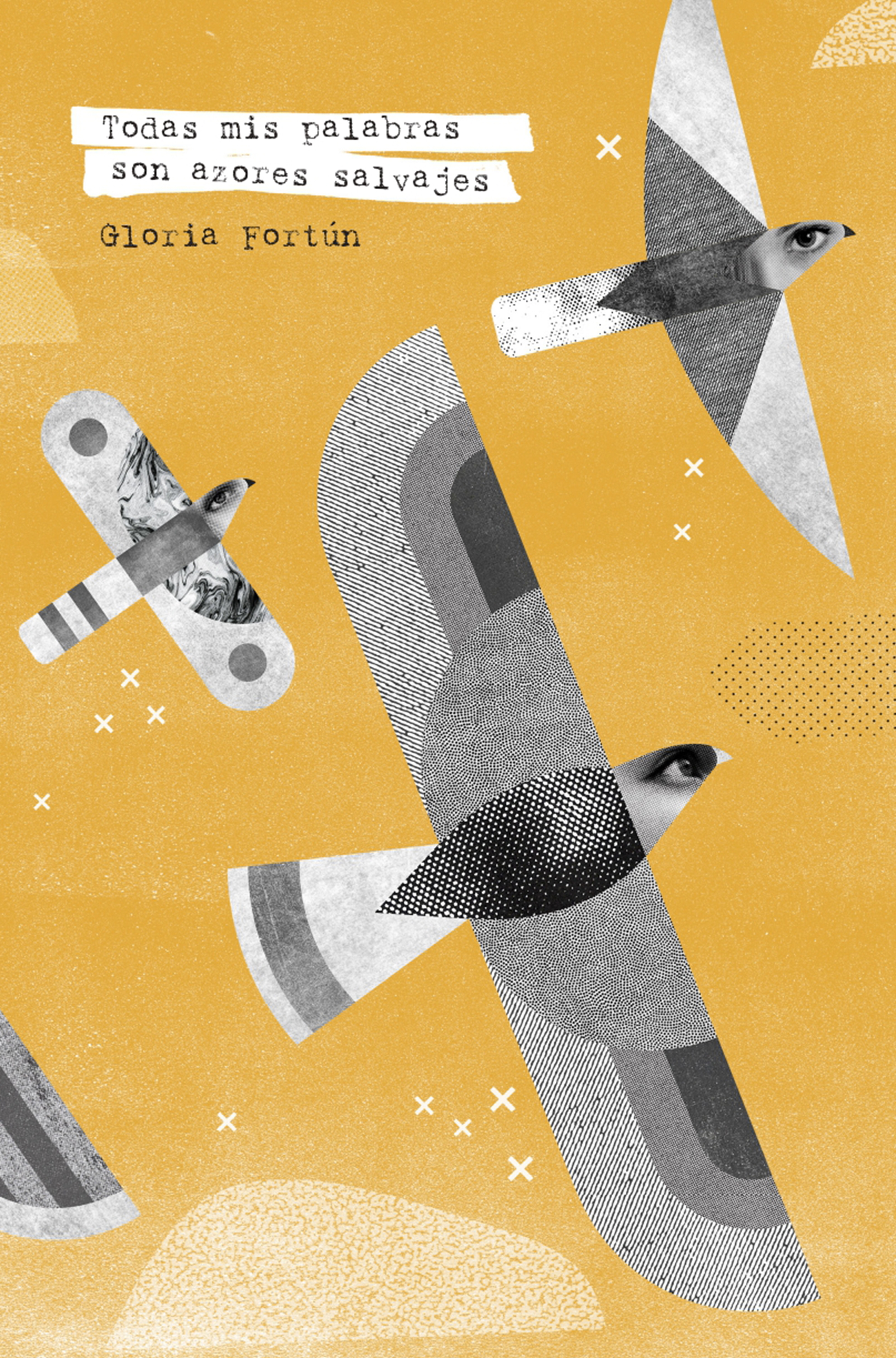 Обложка книги «Todas mis palabras son azores salvajes»