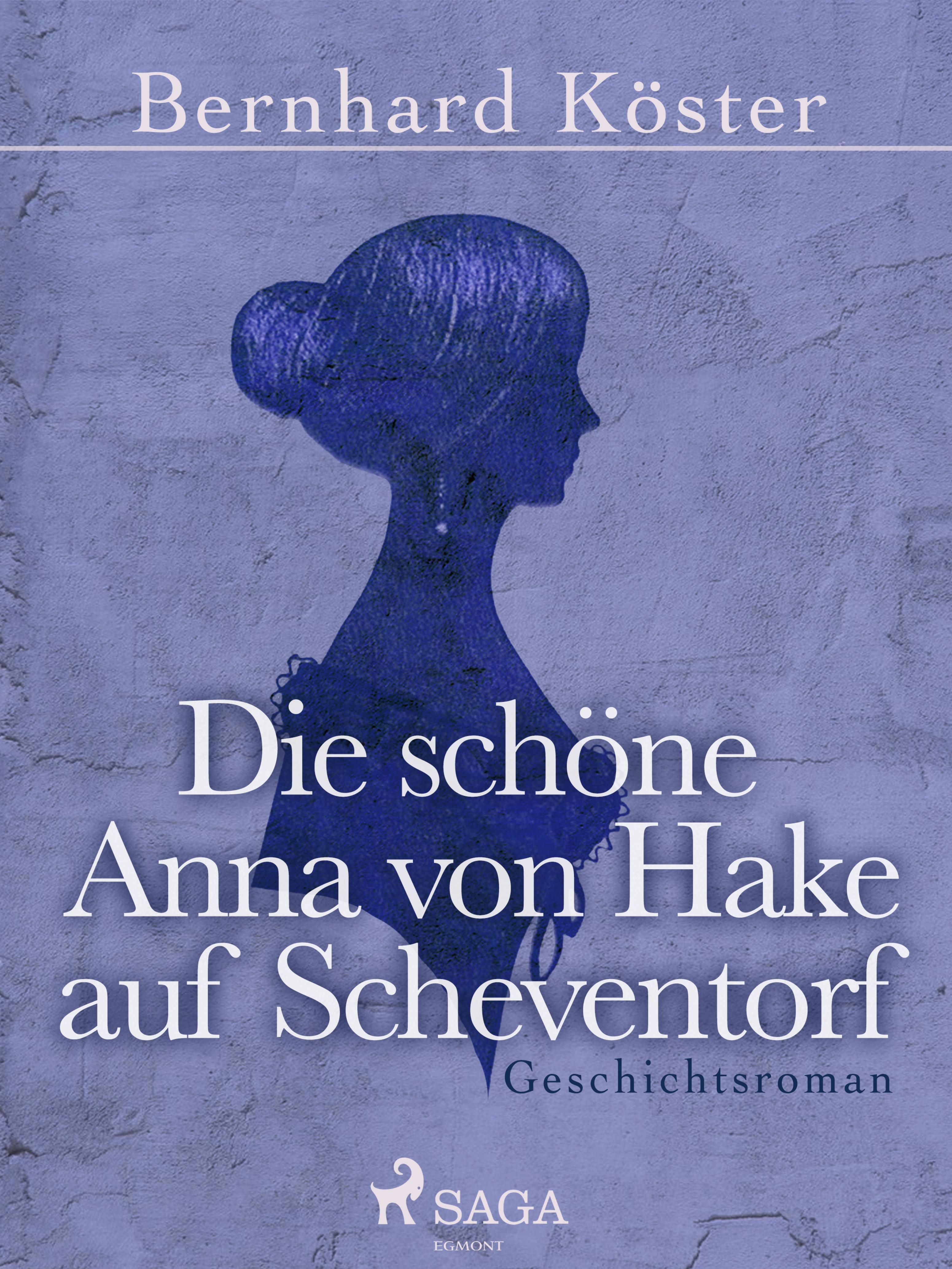 Обложка книги «Die schöne Anna von Hake auf Scheventorf»