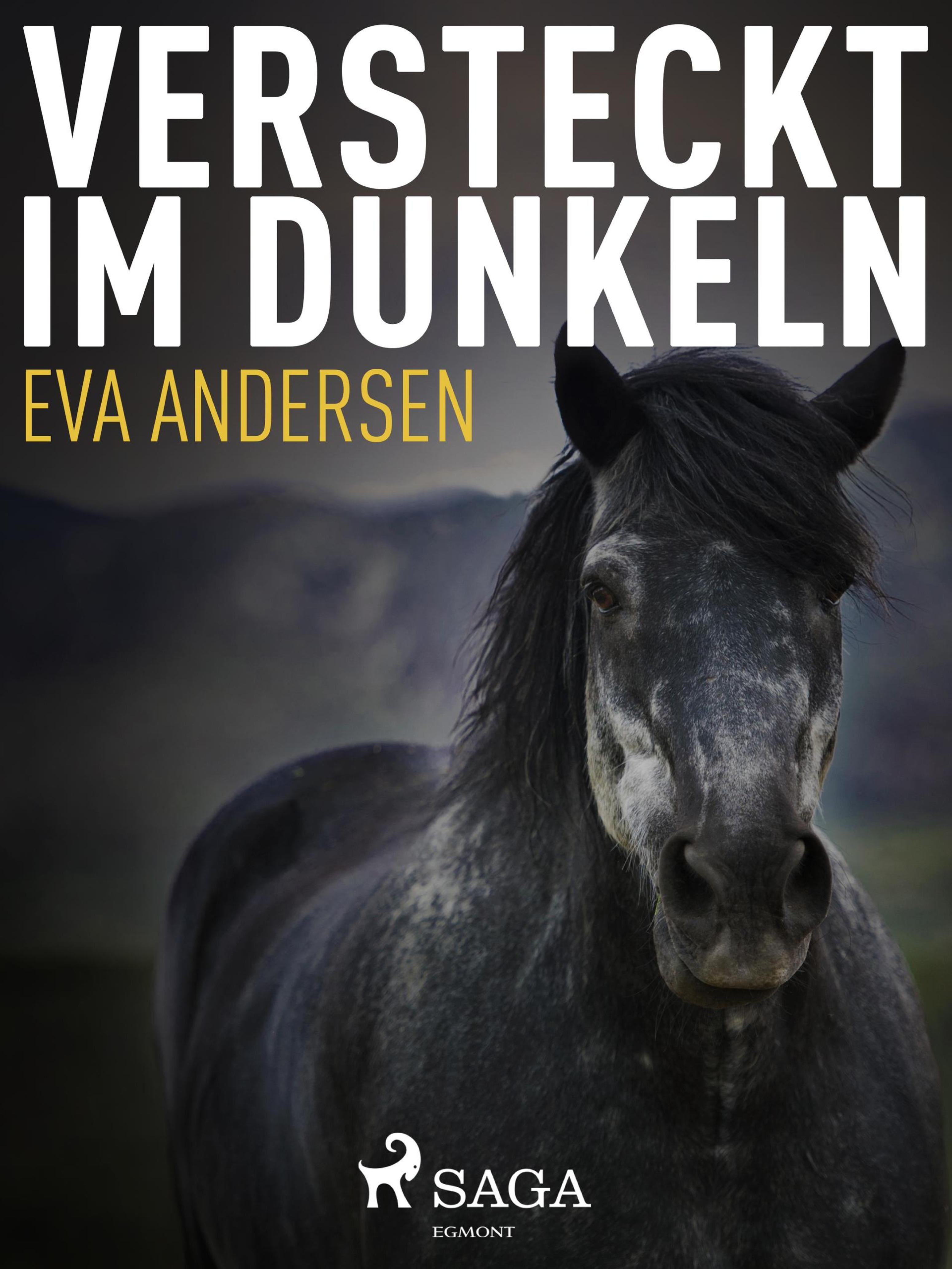 Обложка книги «Versteckt im Dunkeln»