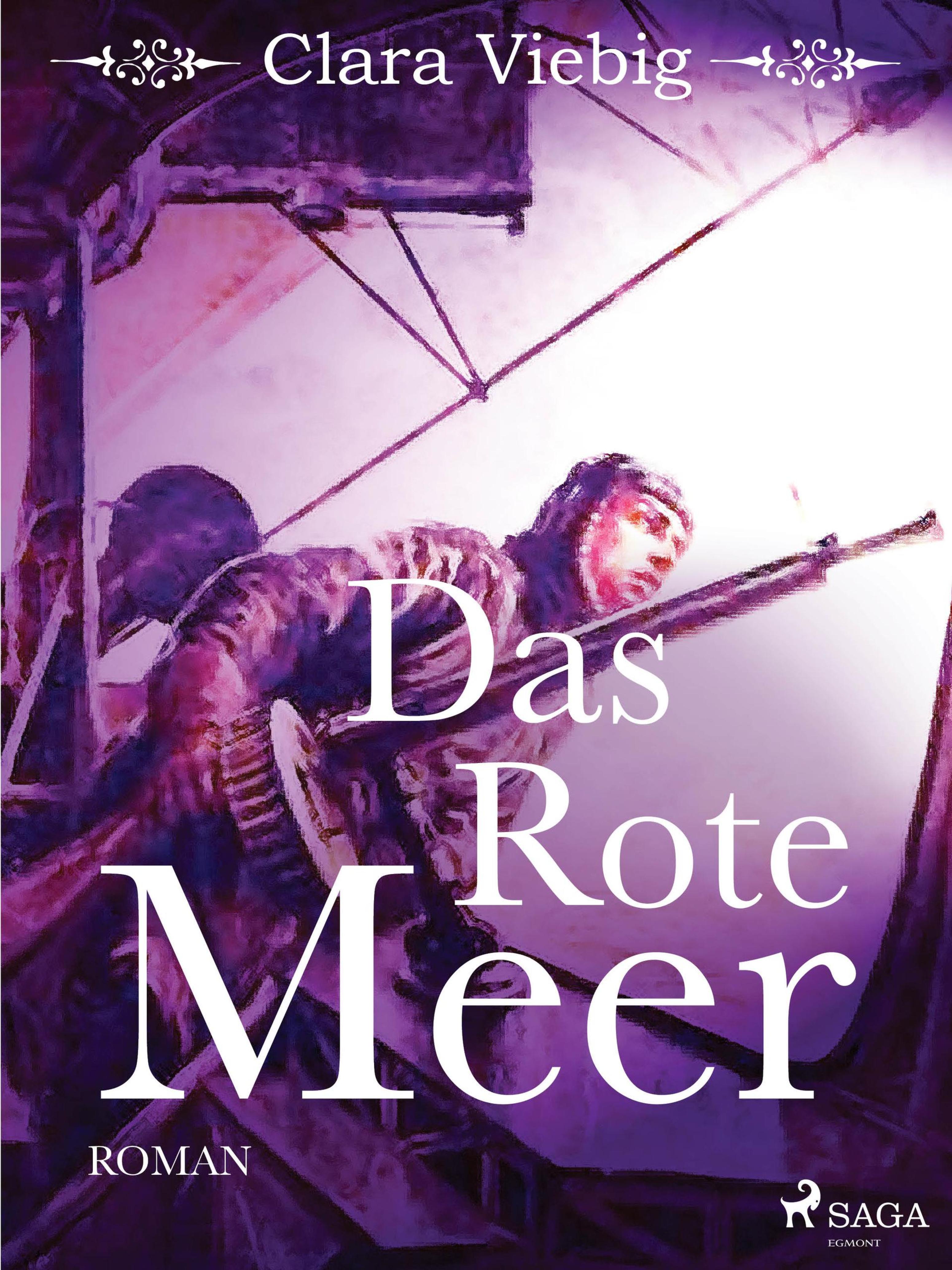 Обложка книги «Das rote Meer»
