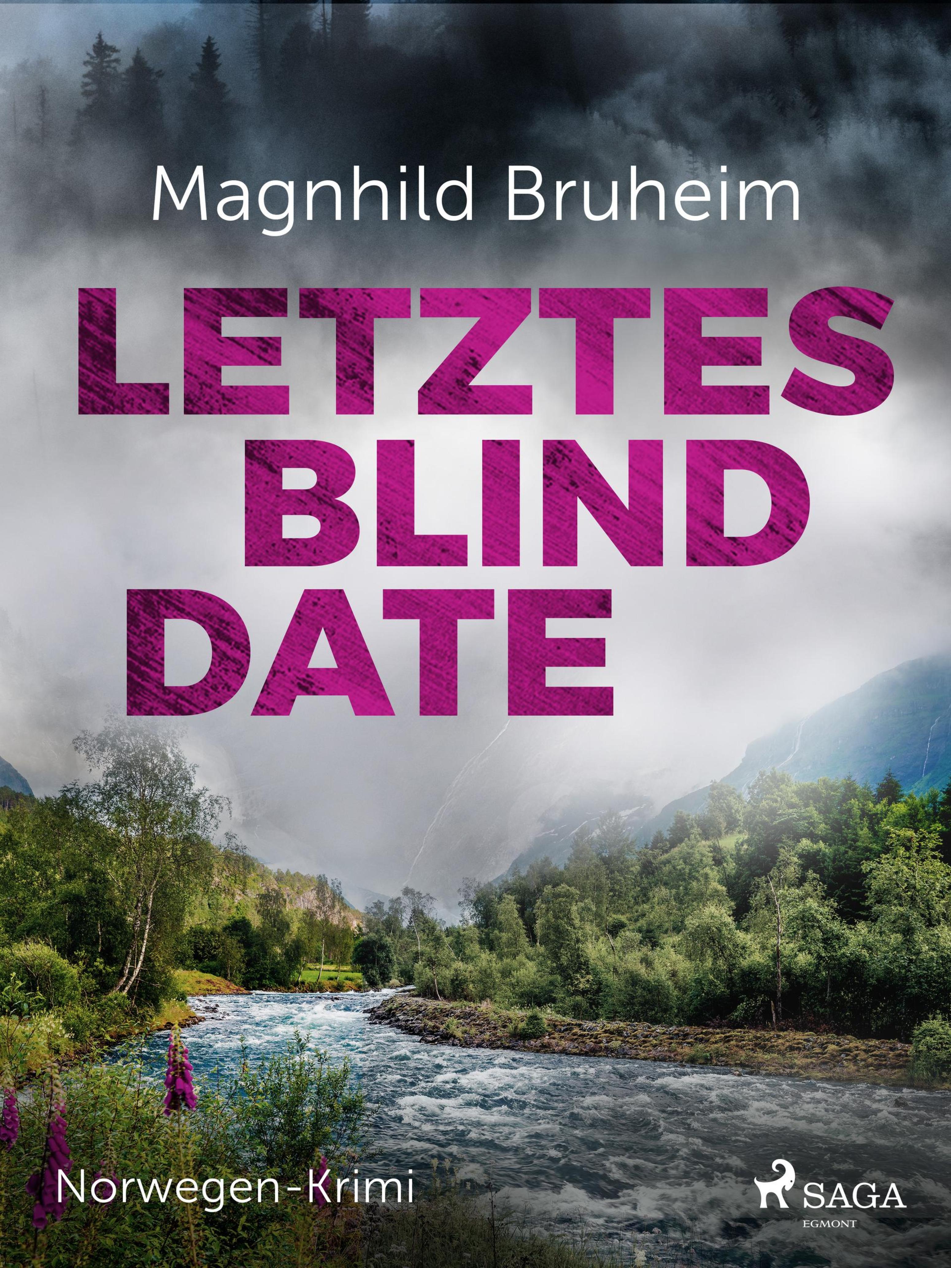 Обложка книги «Letztes Blind Date - Norwegen-Krimi»