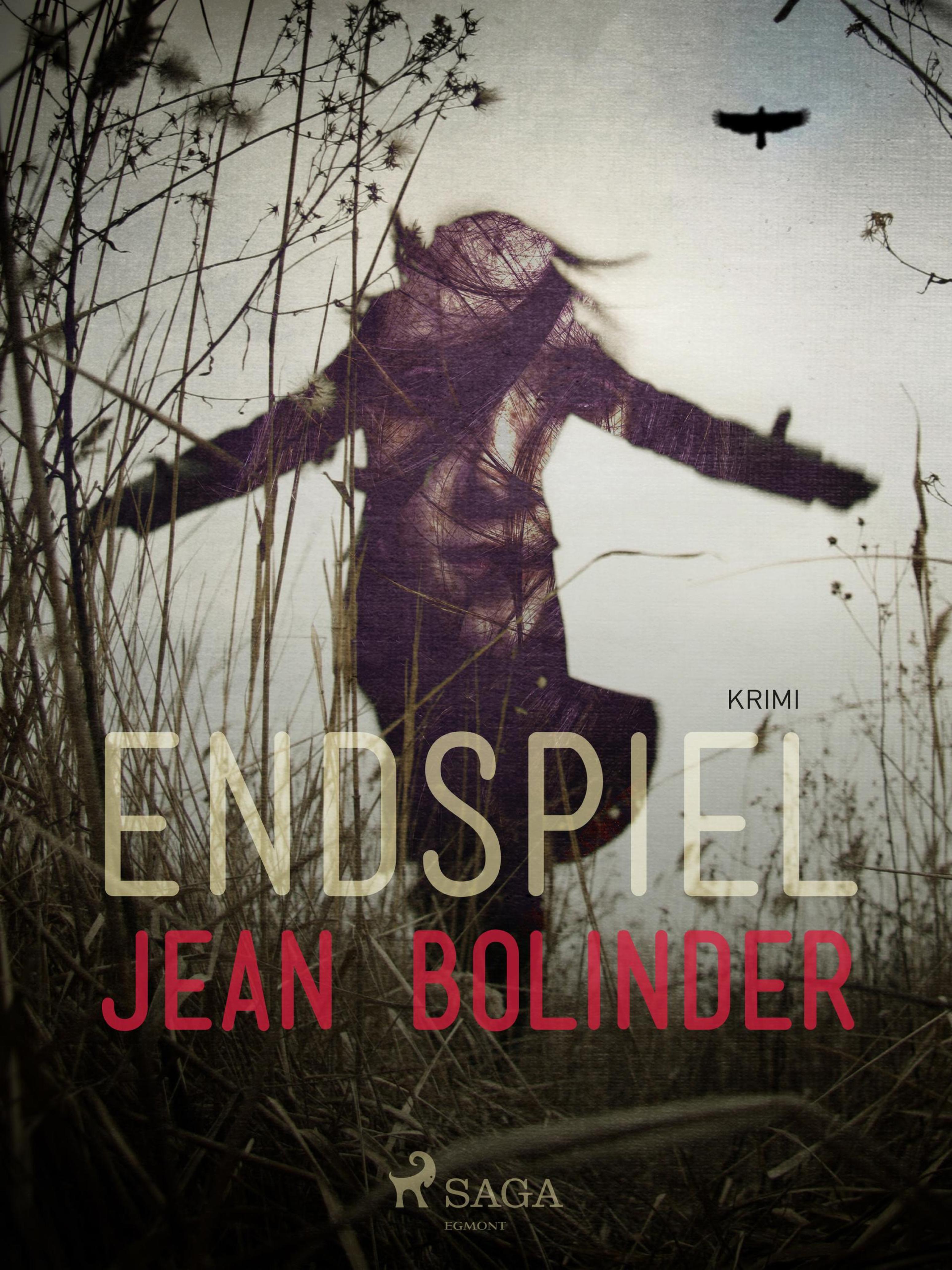 Обложка книги «Endspiel»