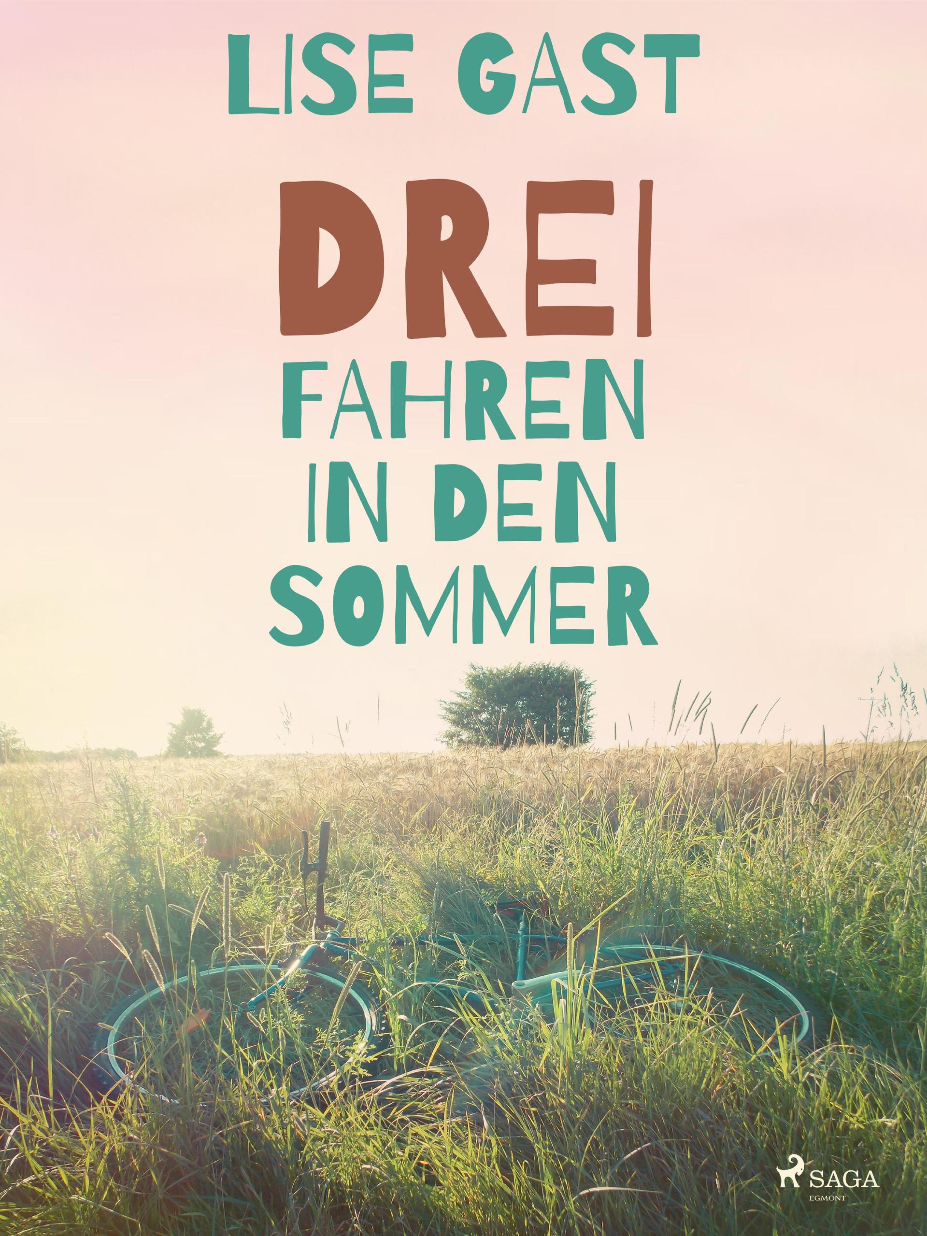 Обложка книги «Drei fahren in den Sommer»