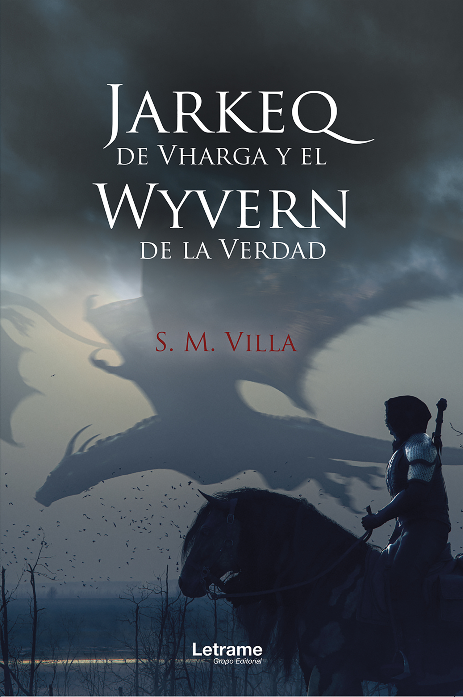 Обложка книги «Jarkeq de Vharga y el Wyvern de la verdad»
