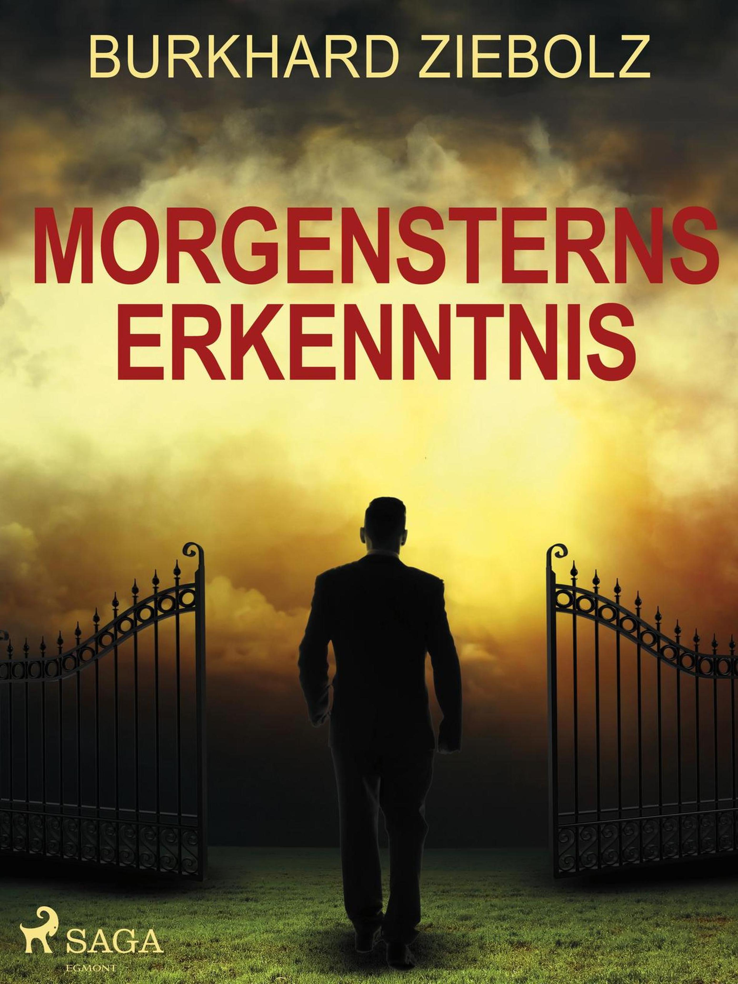 Обложка книги «Morgensterns Erkenntnis - Kriminalroman aus Niedersachsen»