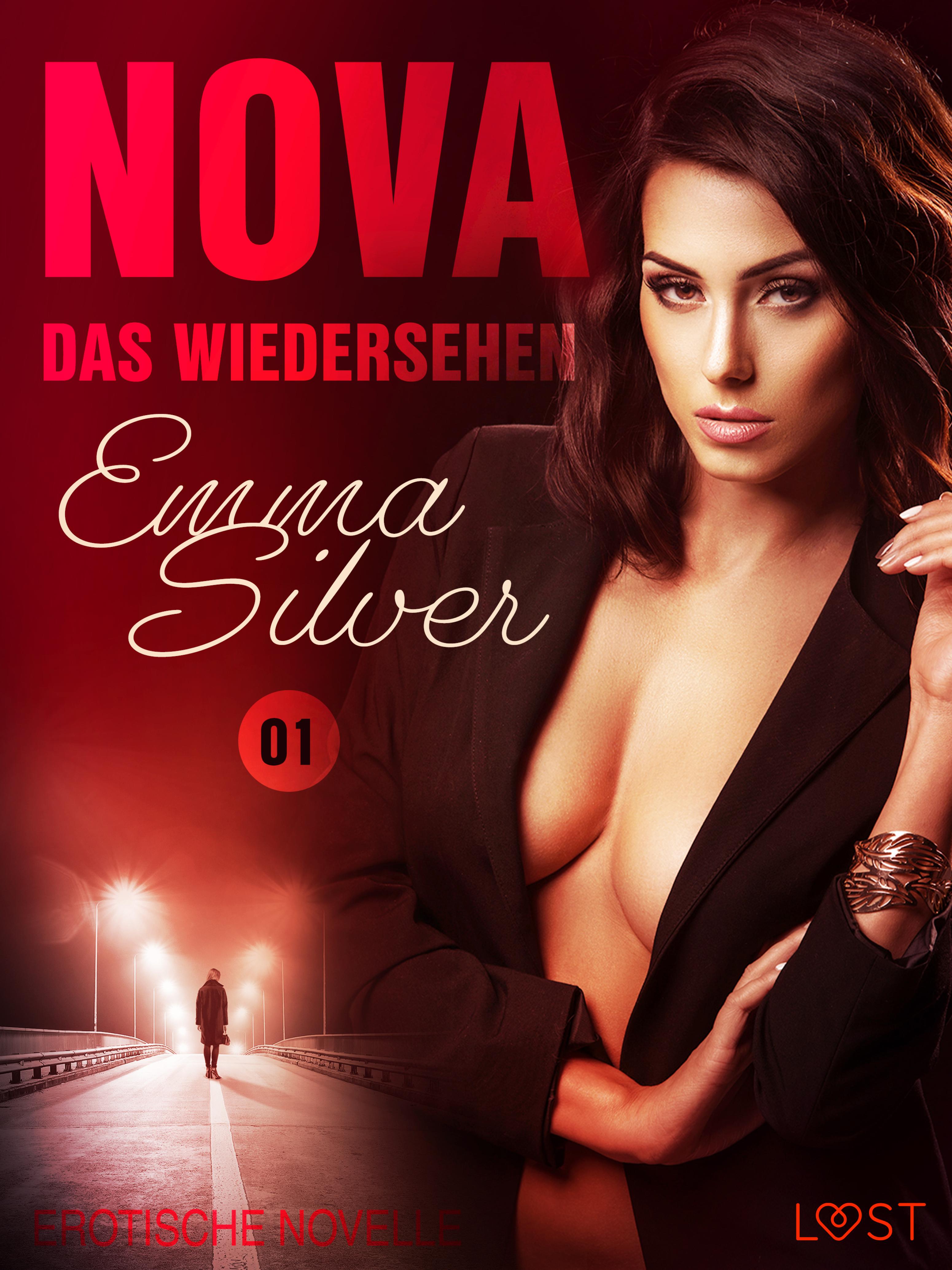 Обложка книги «Nova 1 - Das Wiedersehen: Erotische Novelle»