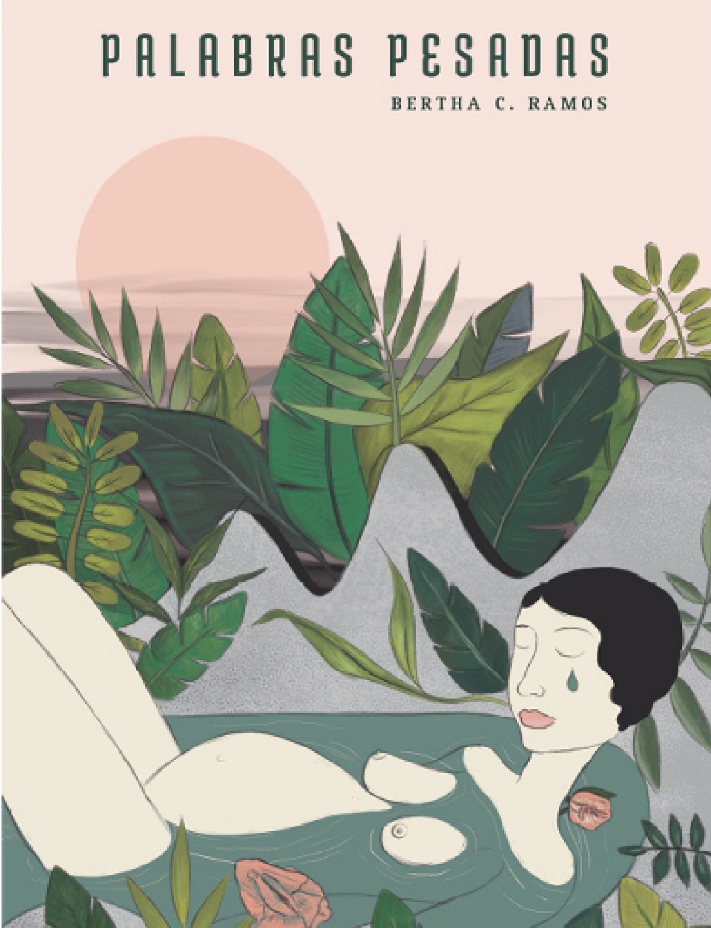 Обложка книги «Palabras pesadas»