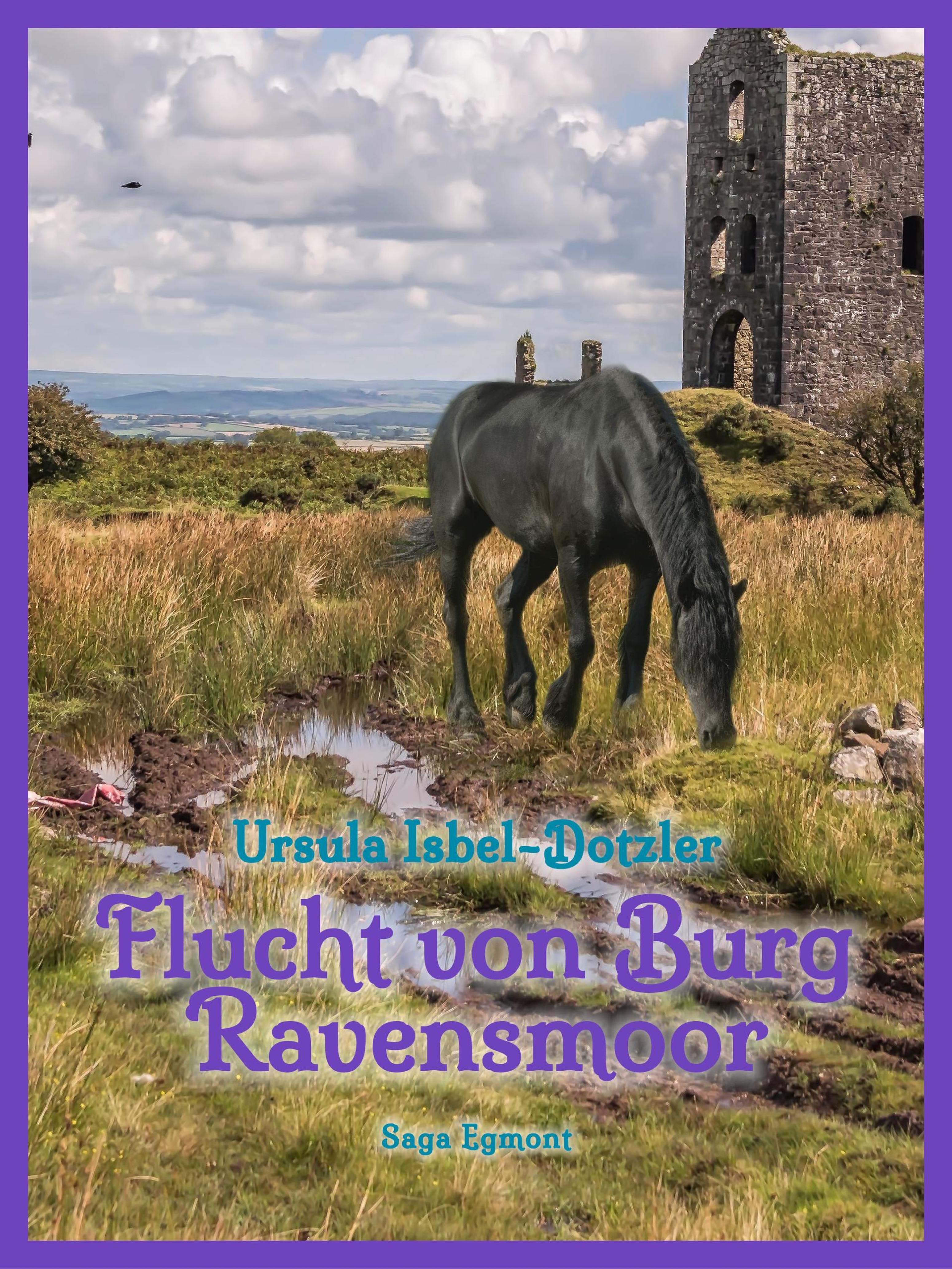 Обложка книги «Flucht von Burg Ravensmoor»