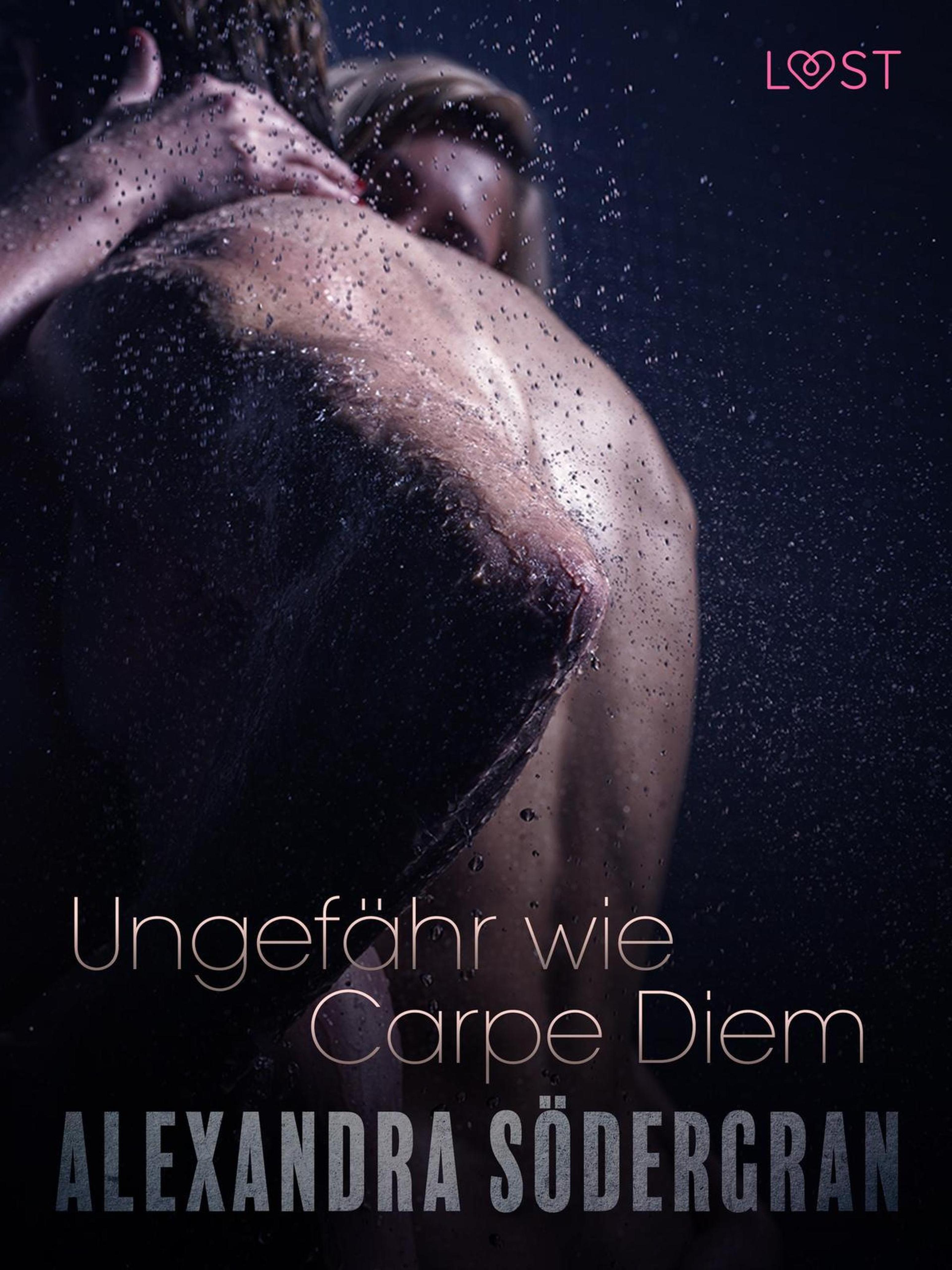 Обложка книги «Ungefähr wie Carpe Diem: Erotische Novelle»