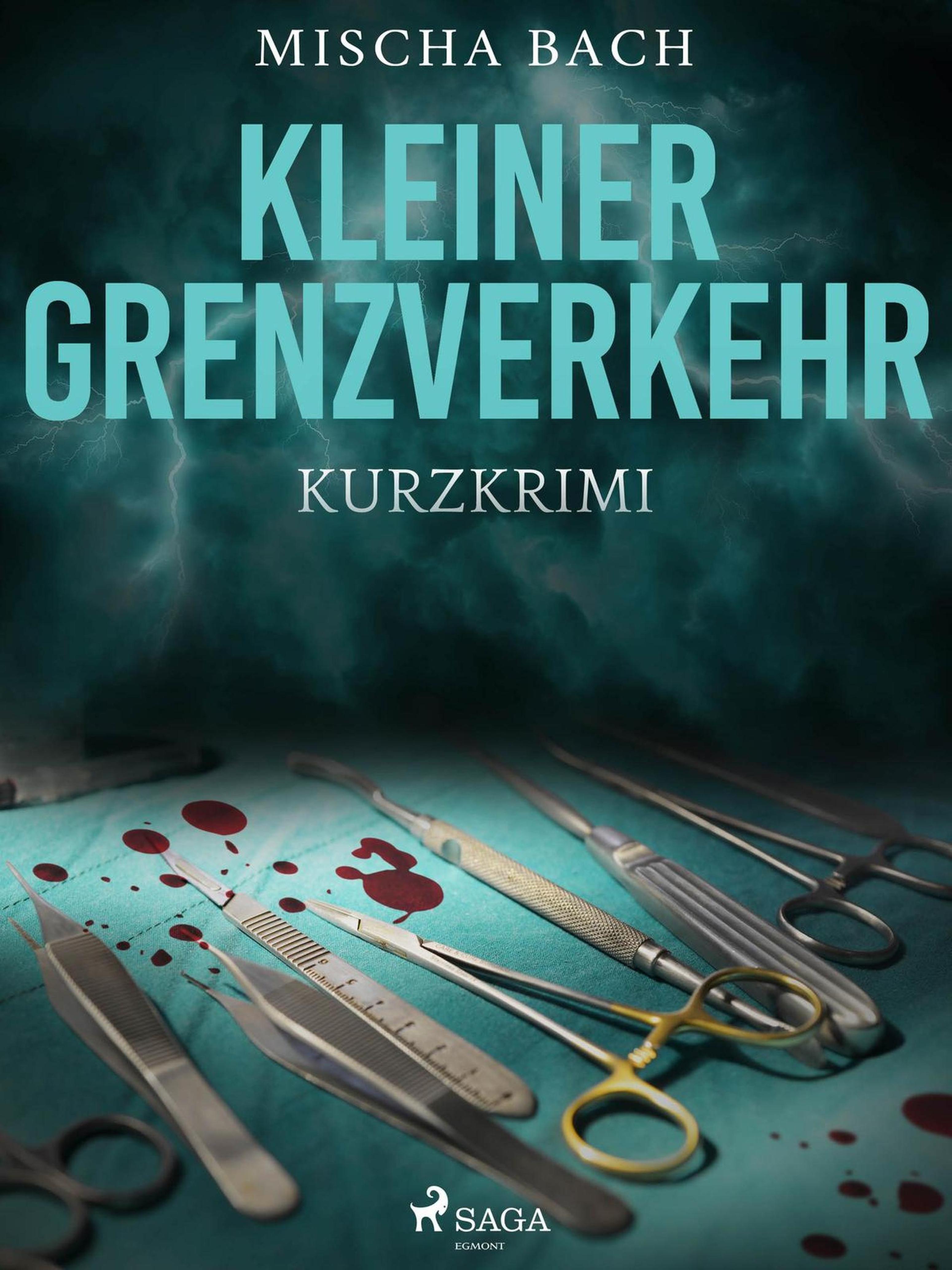 Обложка книги «Kleiner Grenzverkehr - Kurzkrimi»