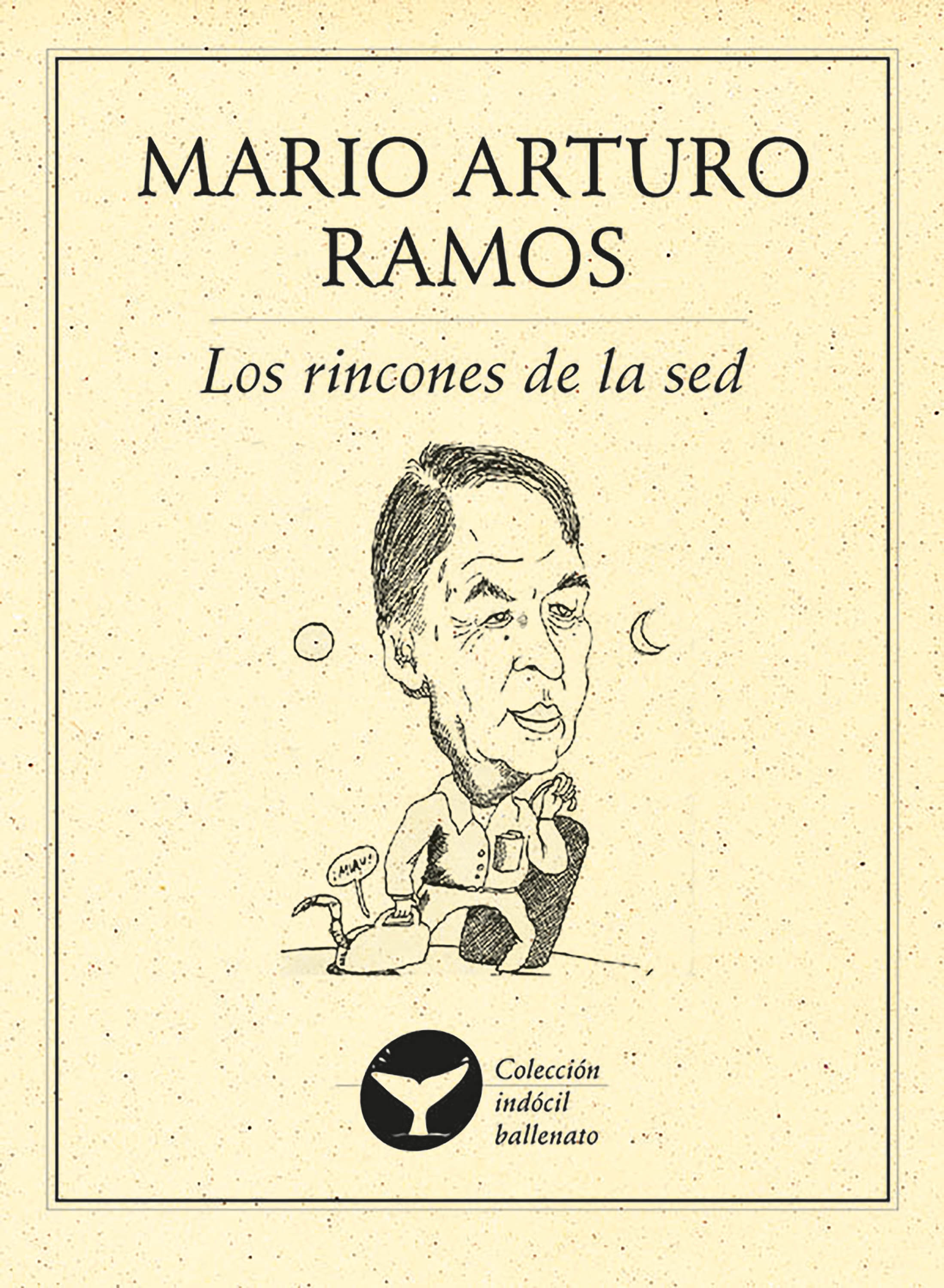 Обложка книги «Los rincones de la sed»