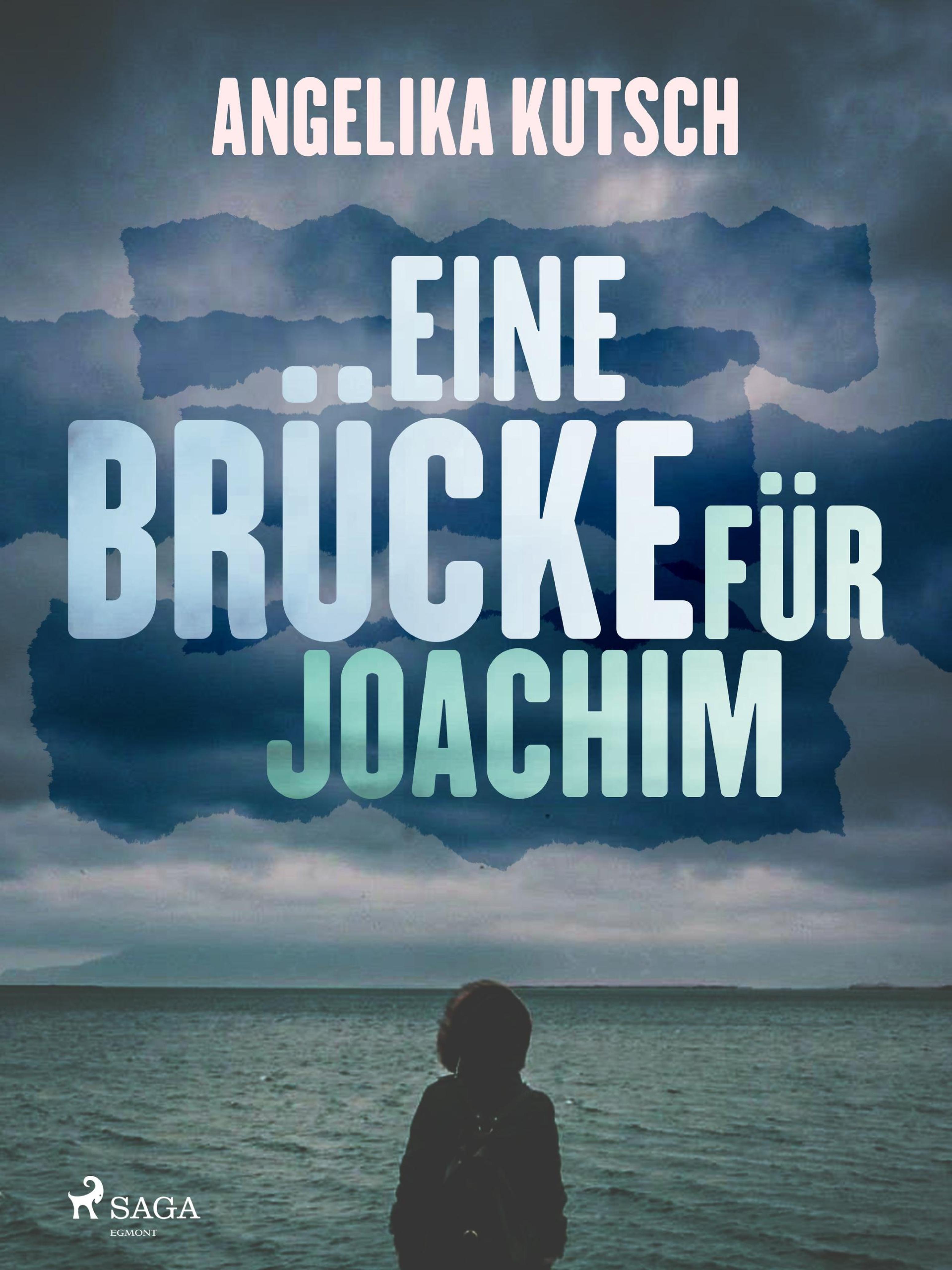 Обложка книги «Eine Brücke für Joachim»