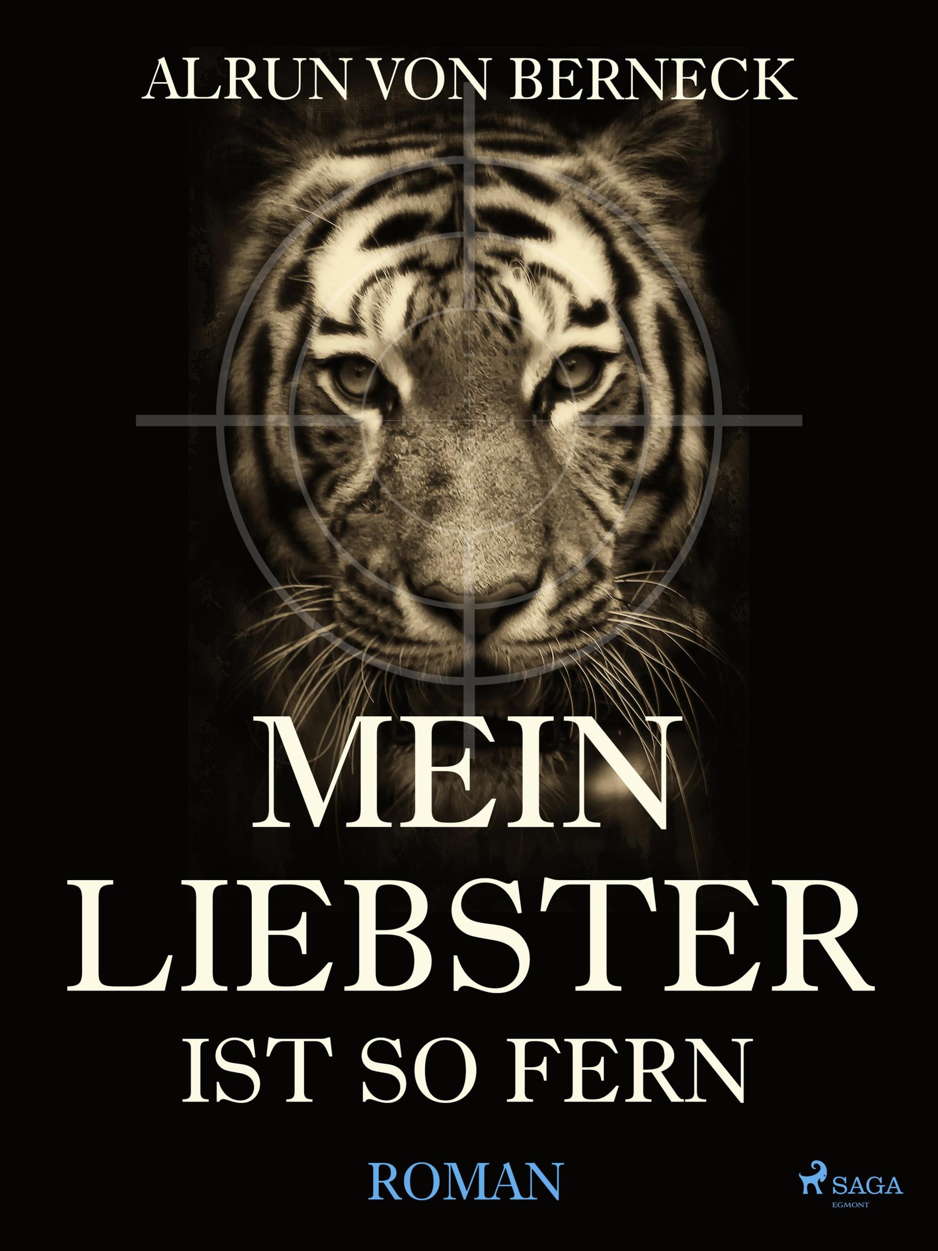 Обложка книги «Mein Liebster ist so fern»