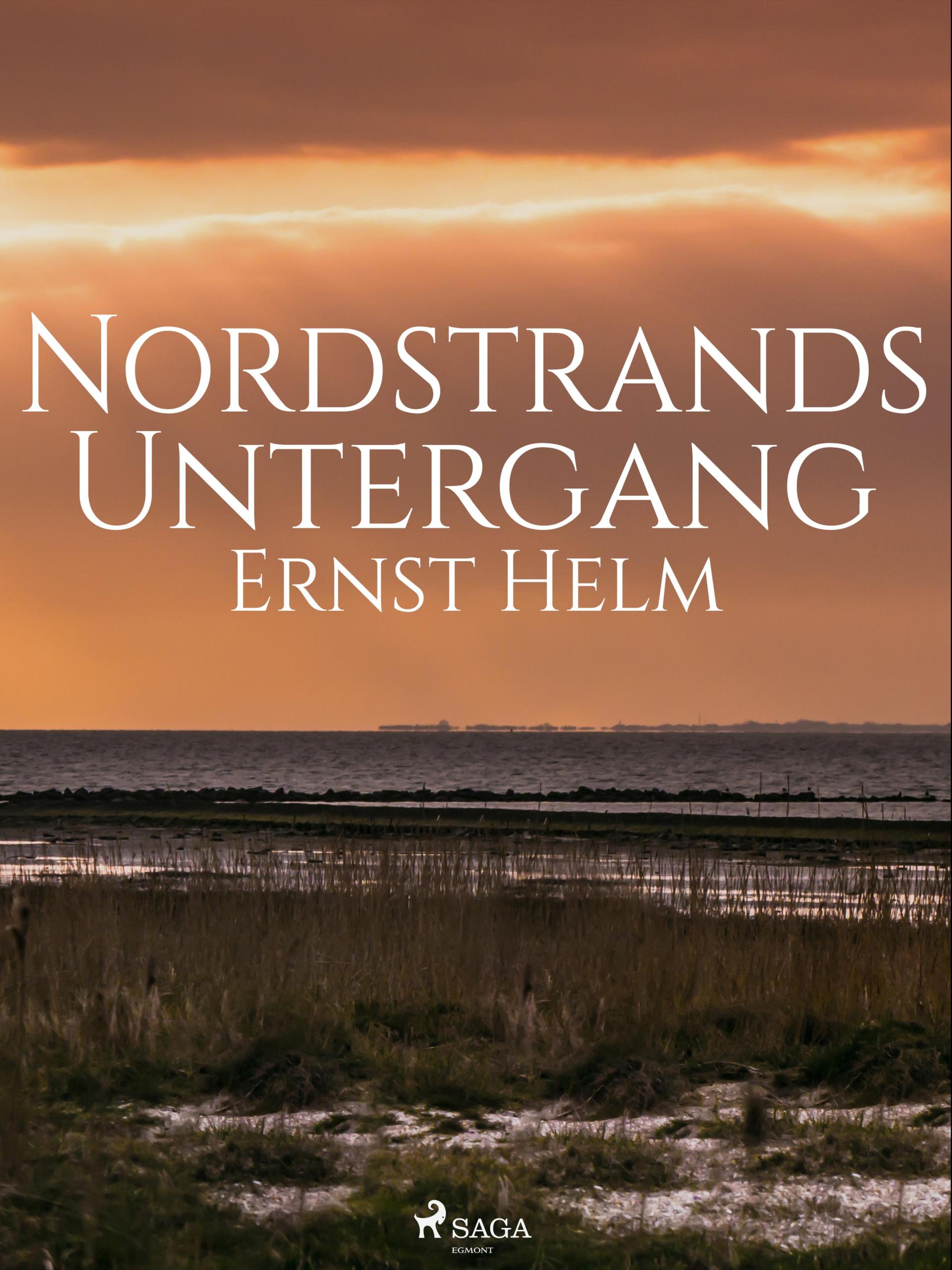 Обложка книги «Nordstrands Untergang»