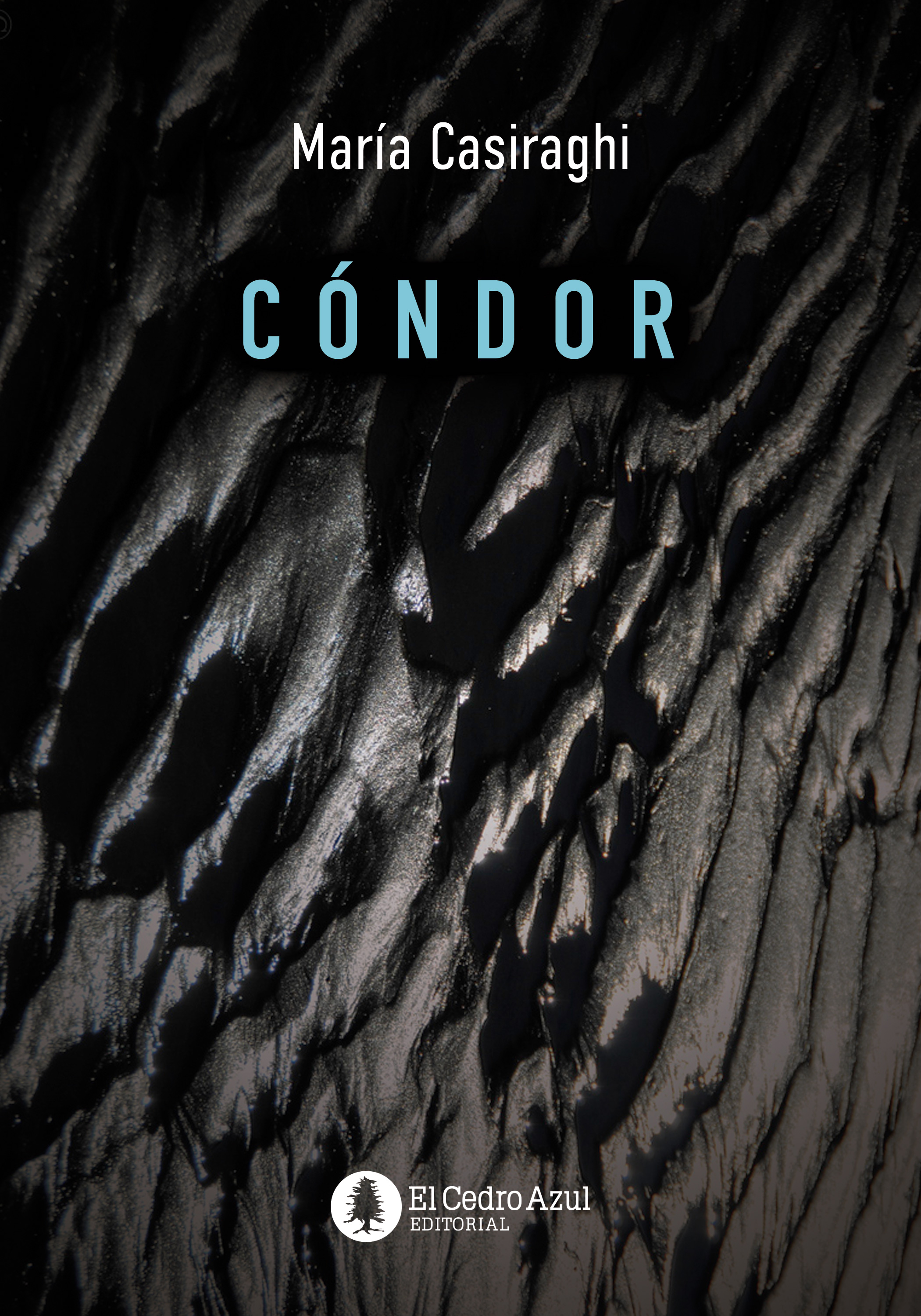 Обложка книги «Cóndor»