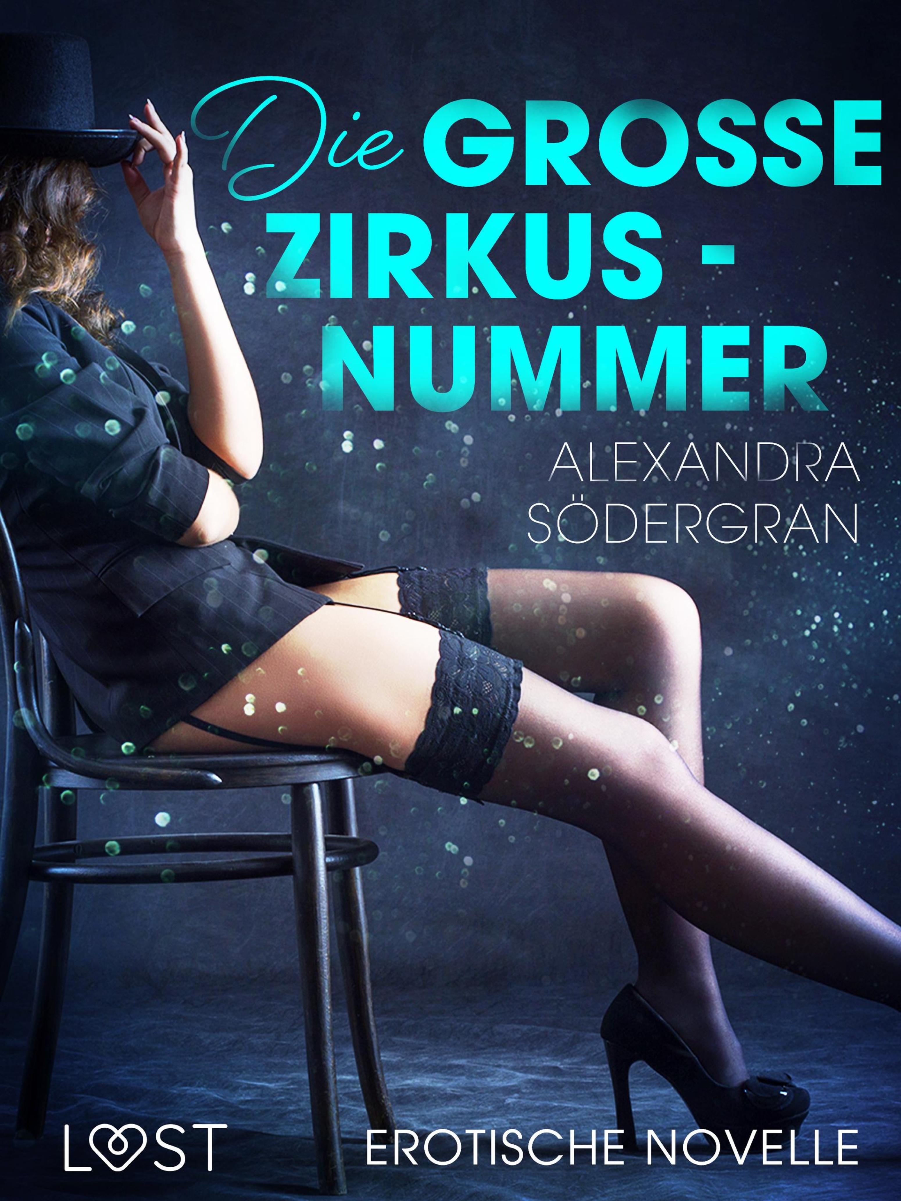 Обложка книги «Die große Zirkusnummer - Erotische Novelle»