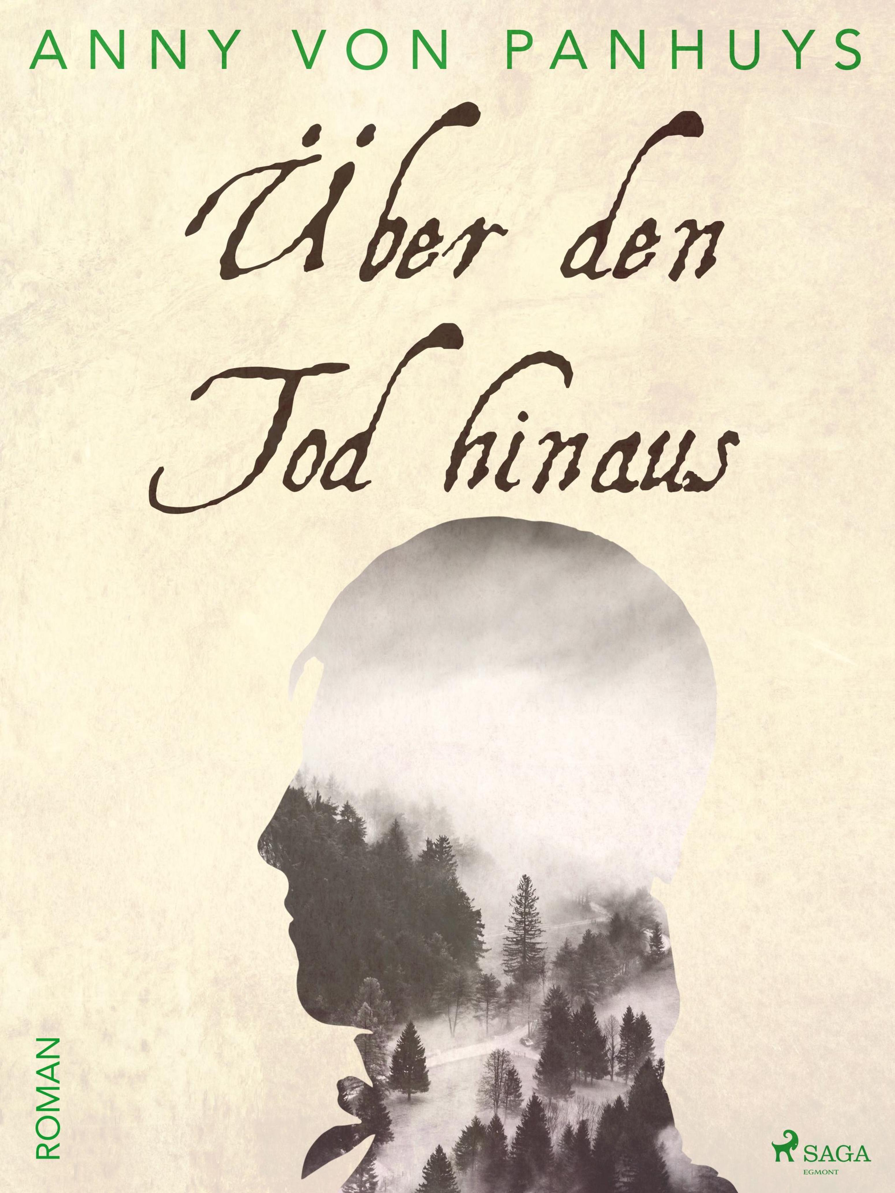 Обложка книги «Über den Tod hinaus»