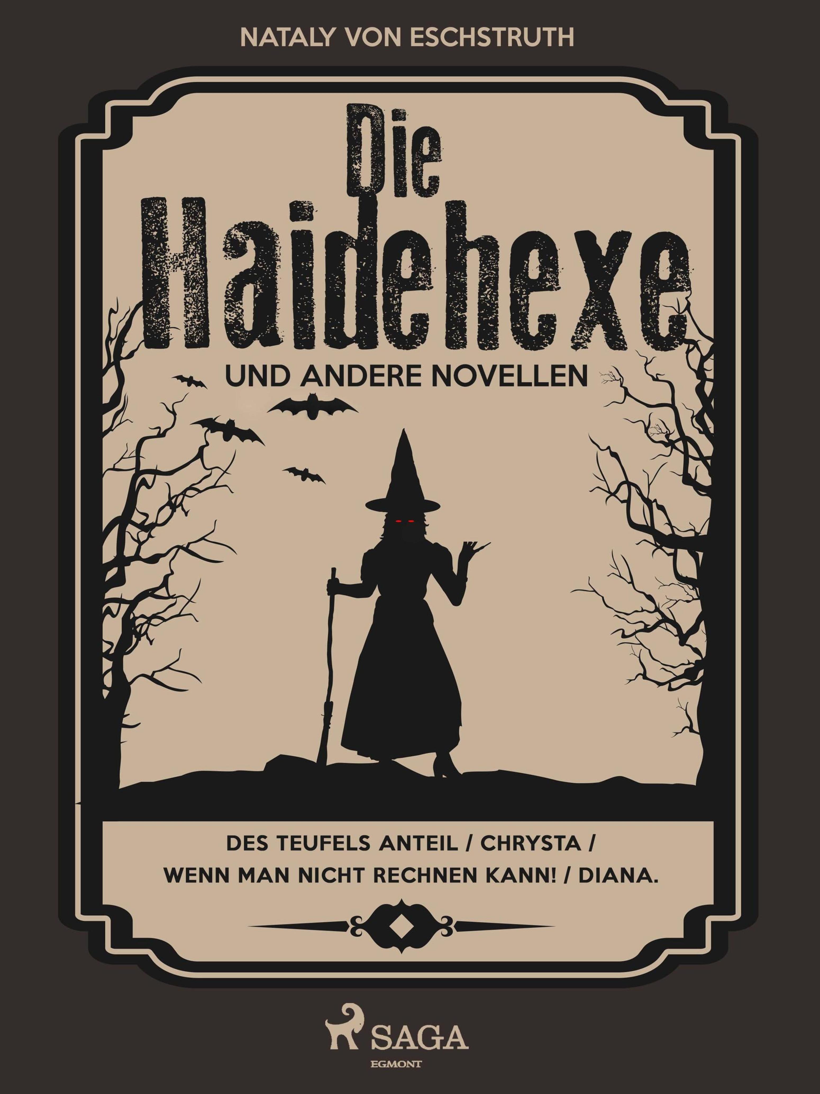 Обложка книги «Die Haidehexe»