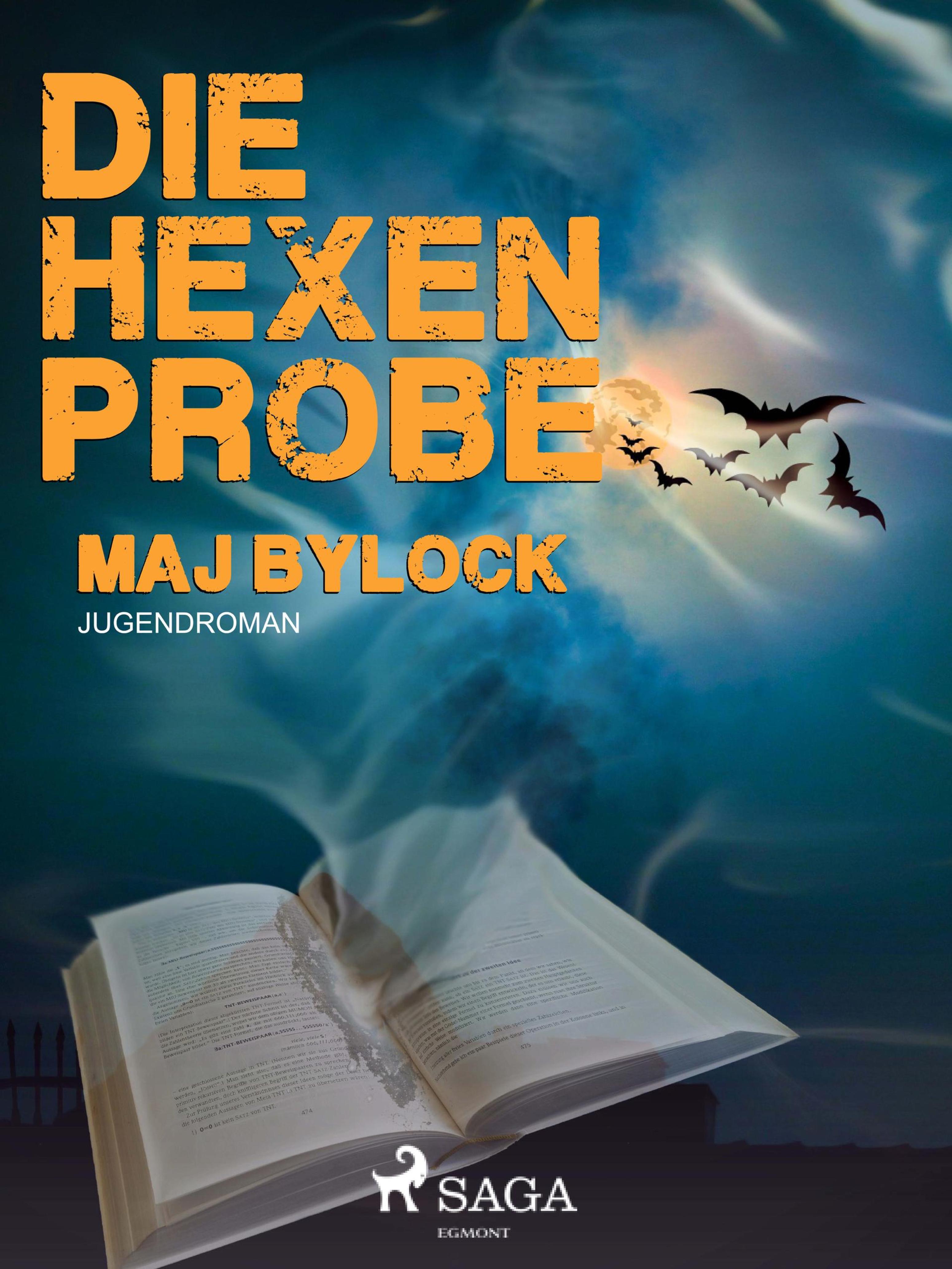 Обложка книги «Die Hexenprobe»
