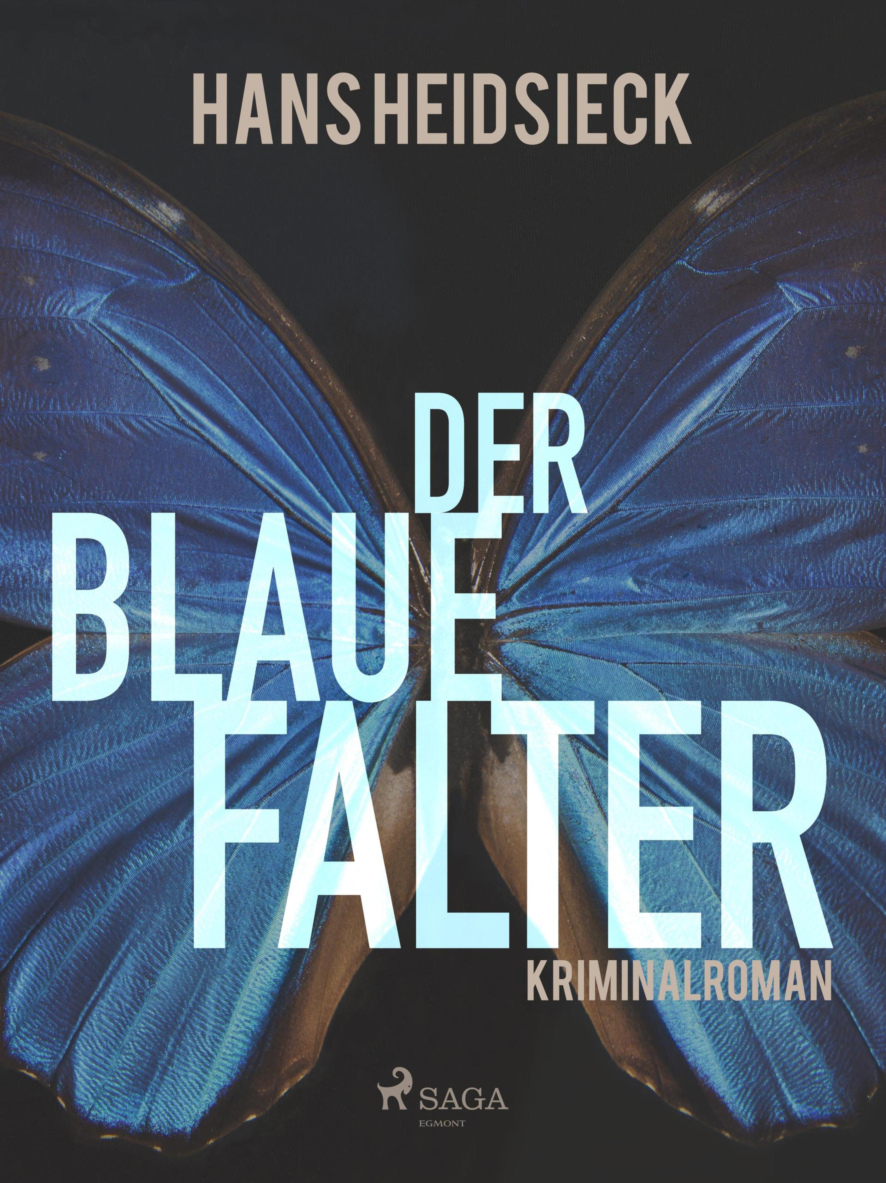 Обложка книги «Der blaue Falter»