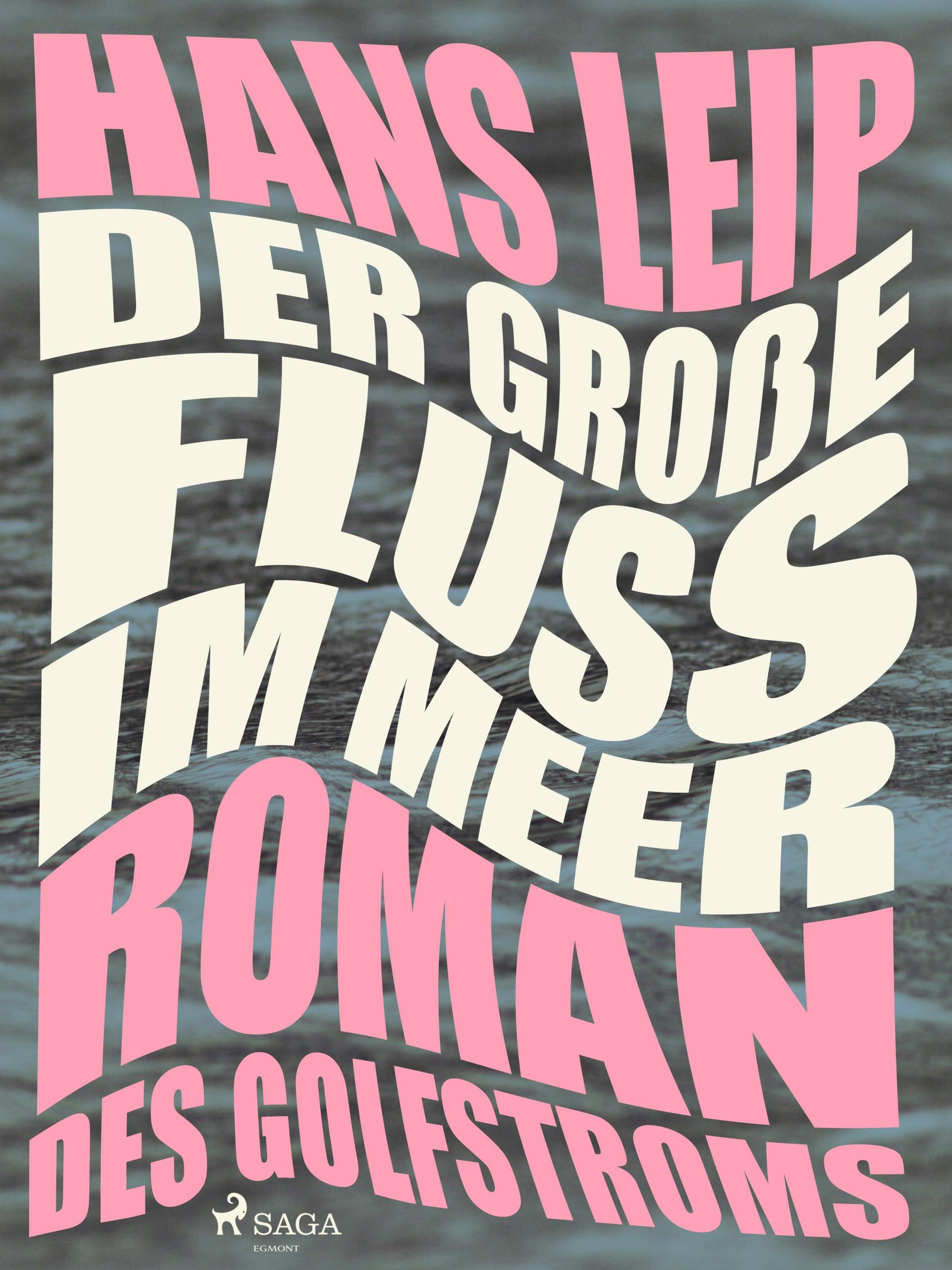 Обложка книги «Der große Fluss im Meer»