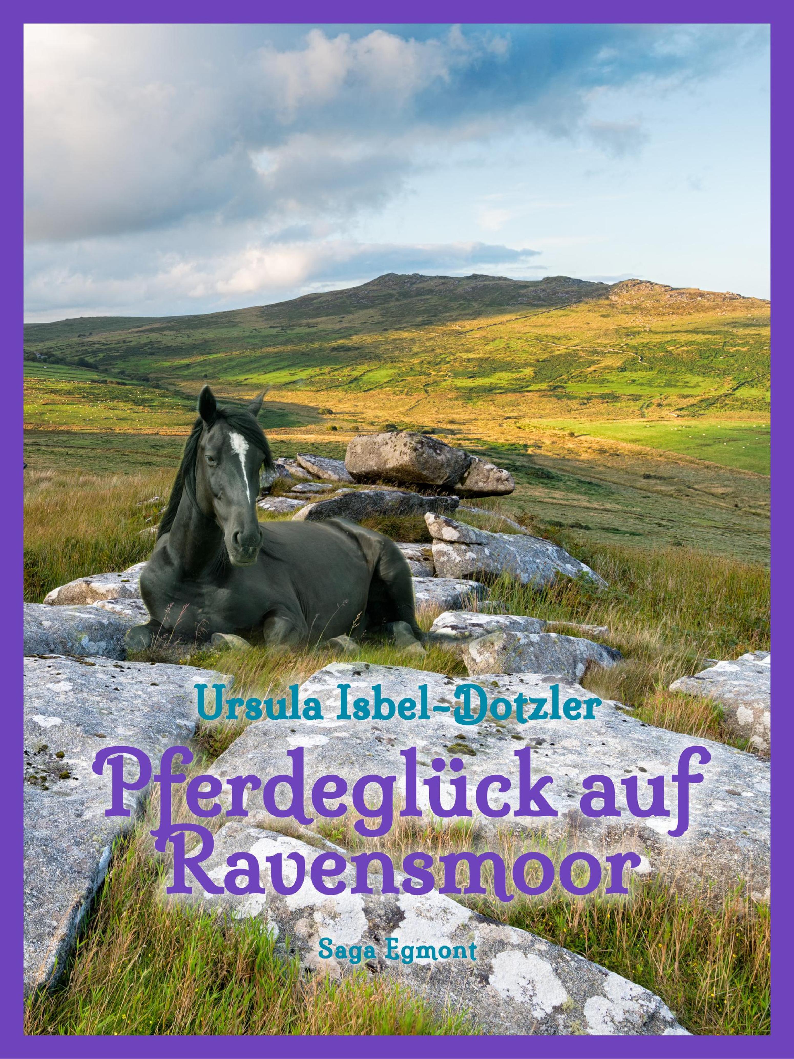 Обложка книги «Pferdeglück auf Ravensmoor»