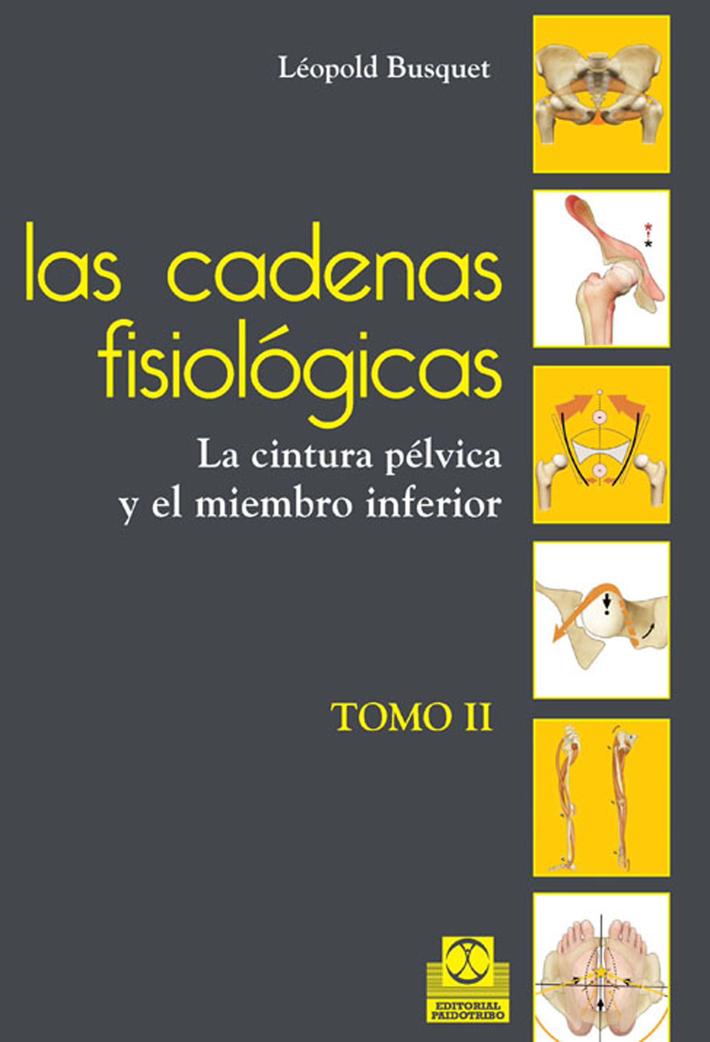 Обложка книги «Las cadenas fisiológicas (tomo II)»