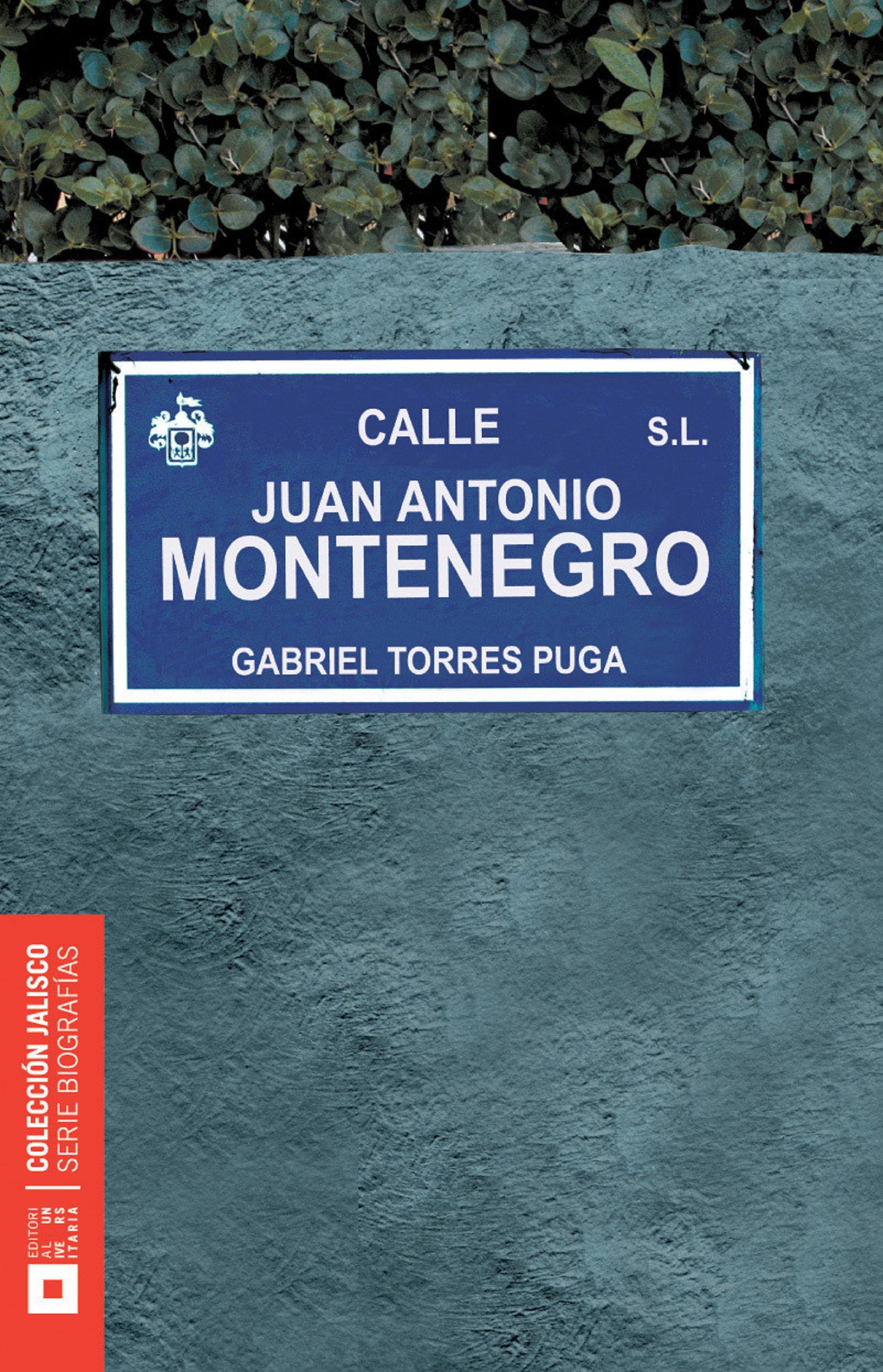 Обложка книги «Juan Antonio Montenegro»