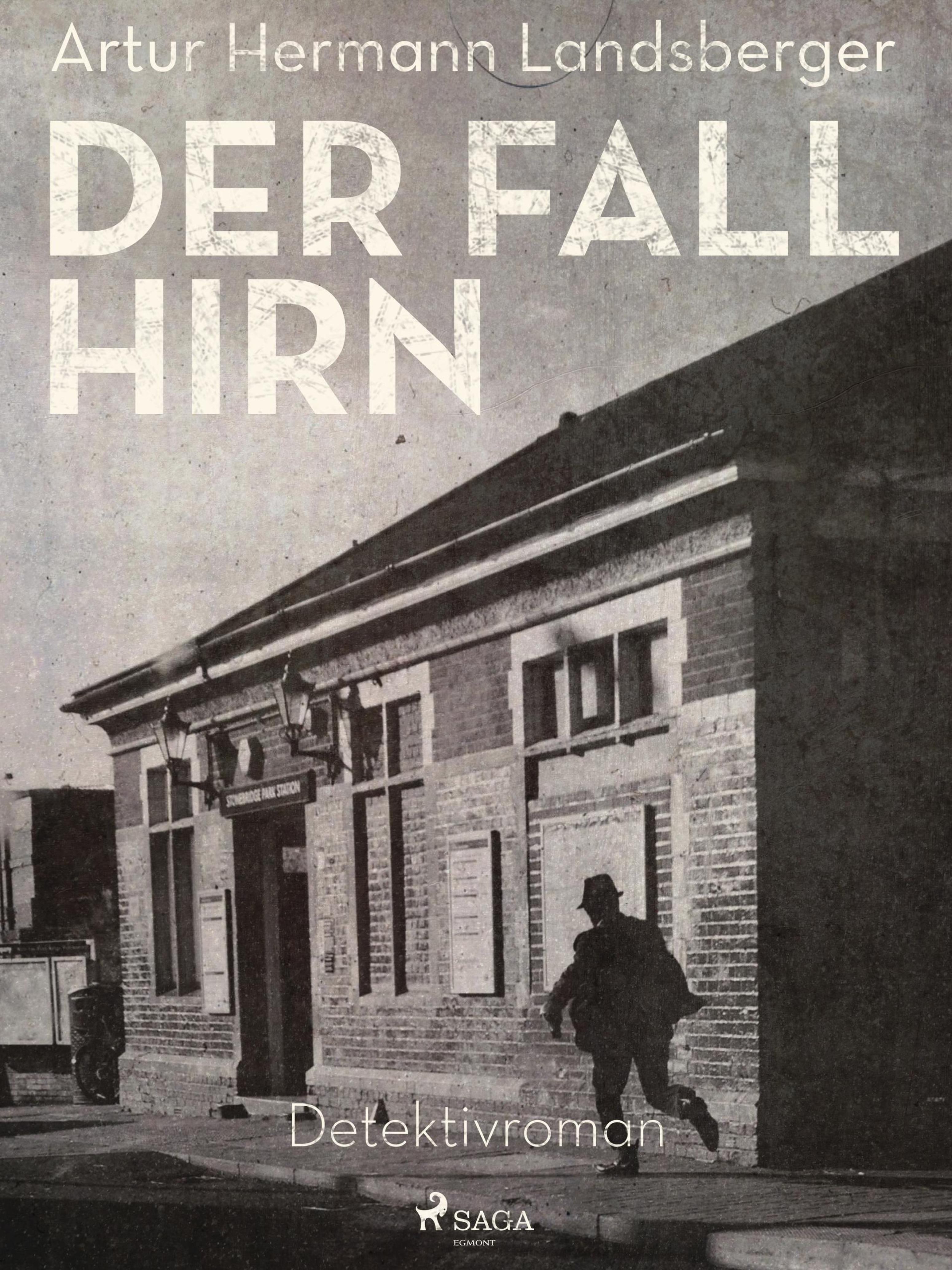 Обложка книги «Der Fall Hirn»
