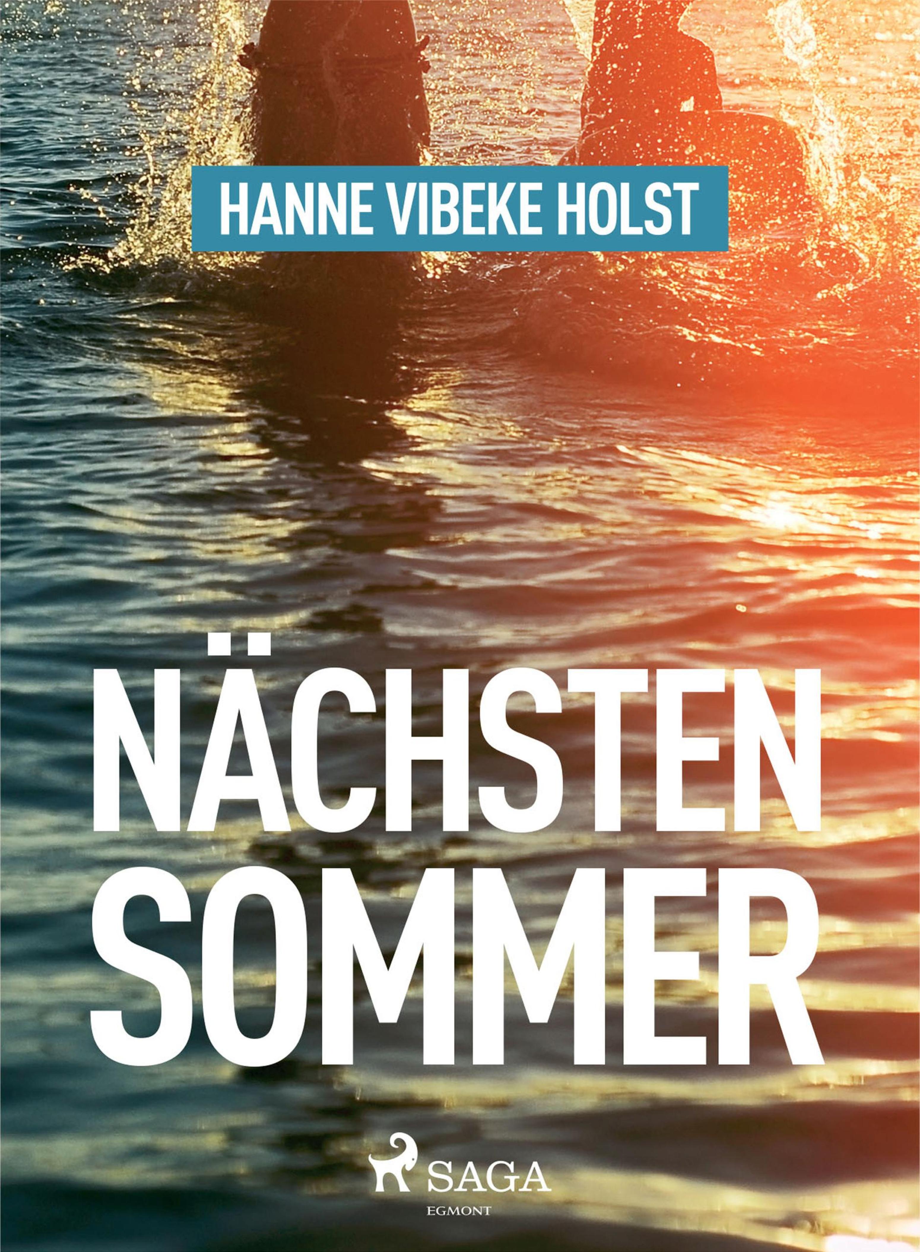 Обложка книги «Nächsten Sommer»
