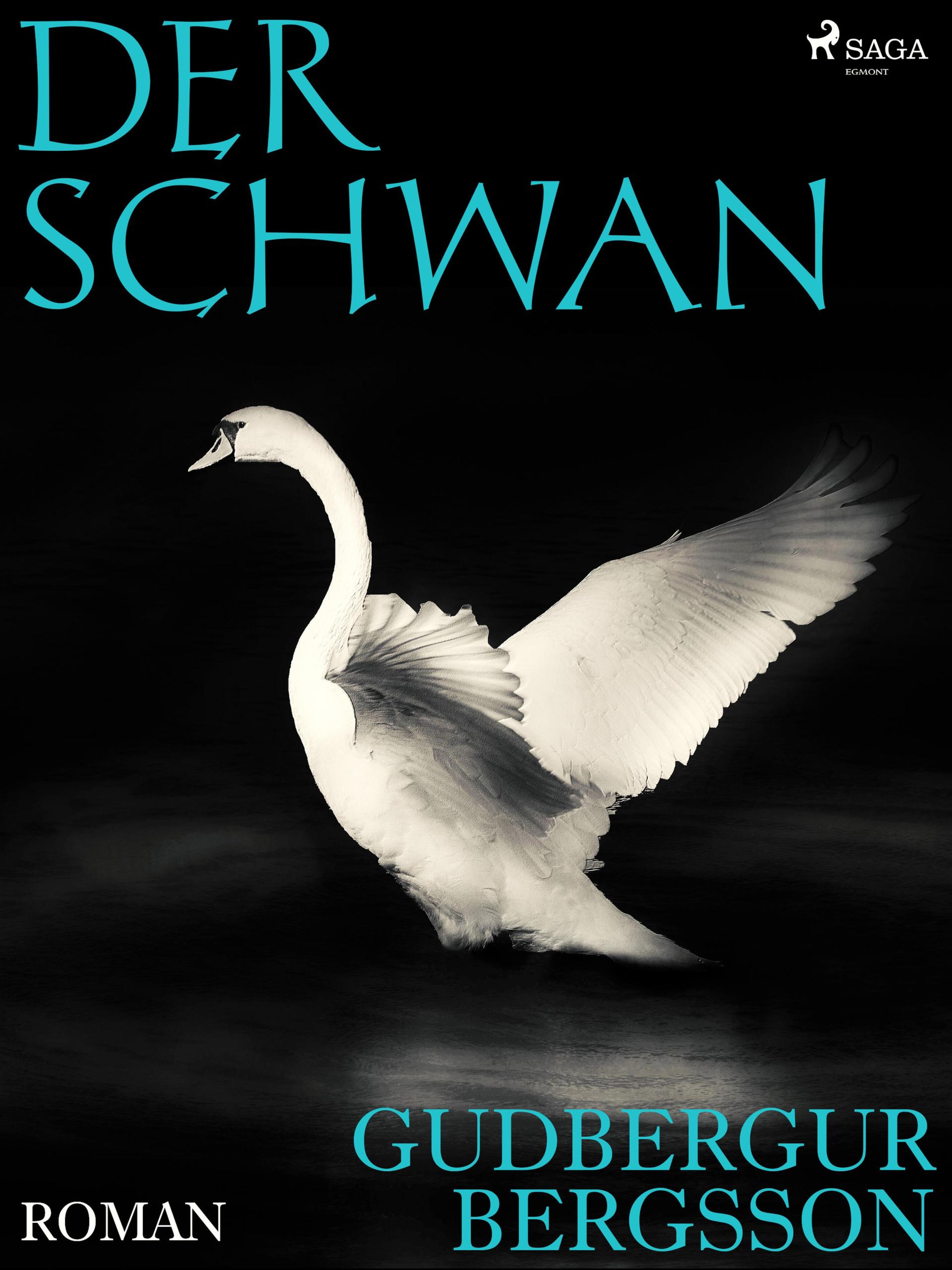 Обложка книги «Der Schwan»